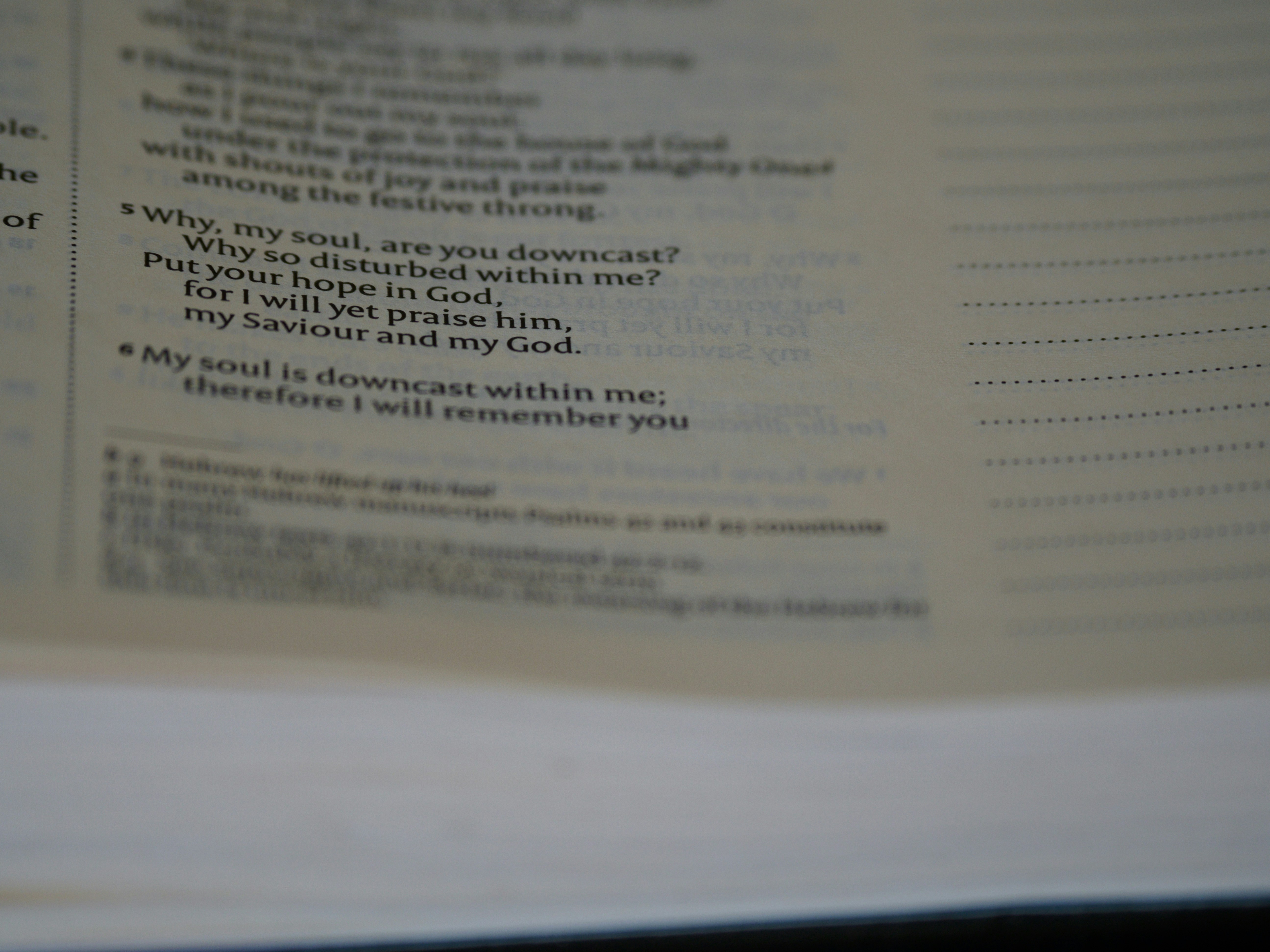 Photo by brett_jordan