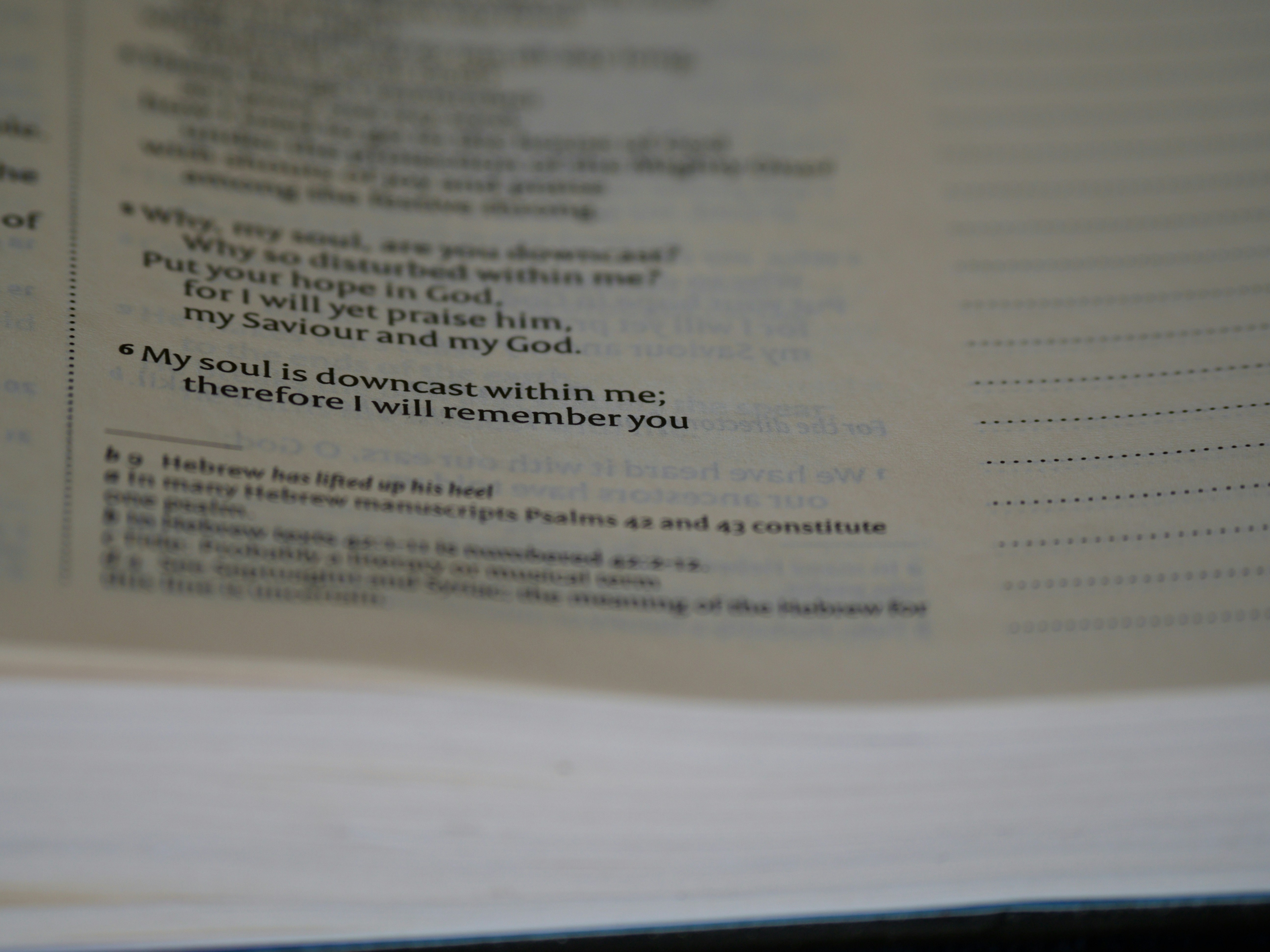 Photo by brett_jordan