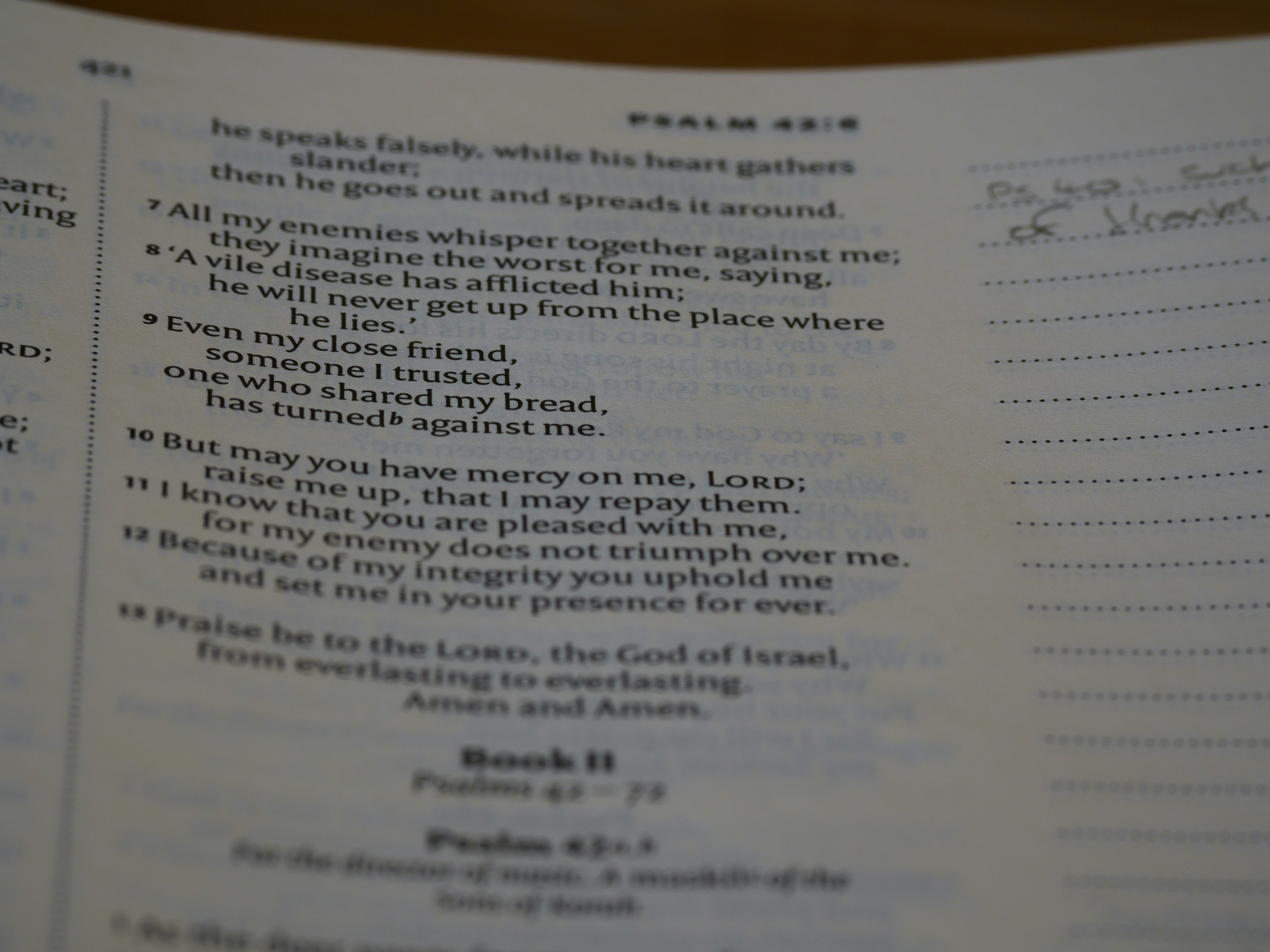 close up, bokeh, macro, blur, blurred background, close focus, bible, old testament, hebrew bible, christian, judaism, history, text, reading, bible study, devotions, text, NIV, New International Version, type, typography, canon, christianity, holy scripture, holy bible, scripture, old testament, hebrew bible, תְּהִלִּים, psalms, psalter, ketuvim, writings, tanakh, king david, <br />