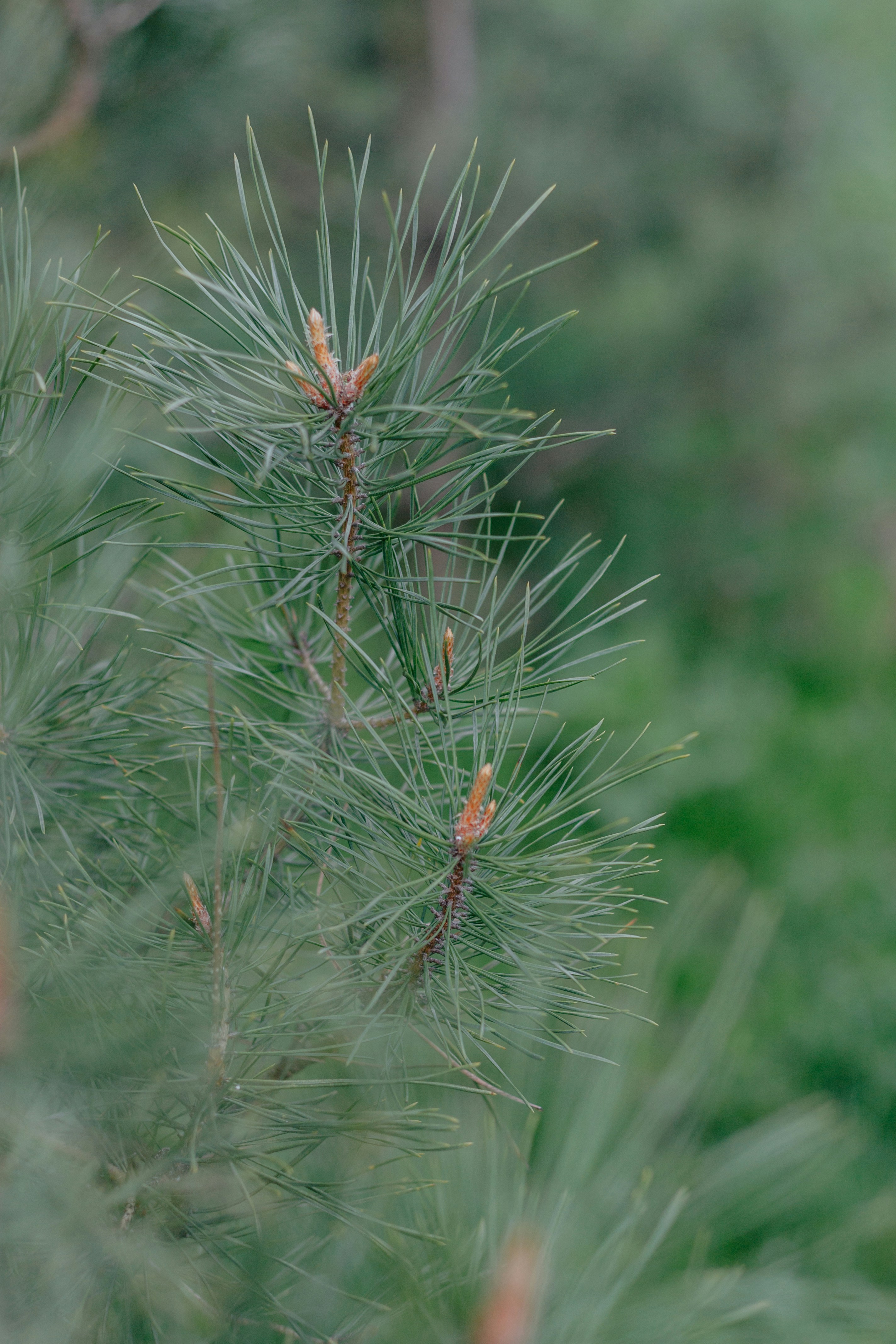 Photo by annaleksandrovishna