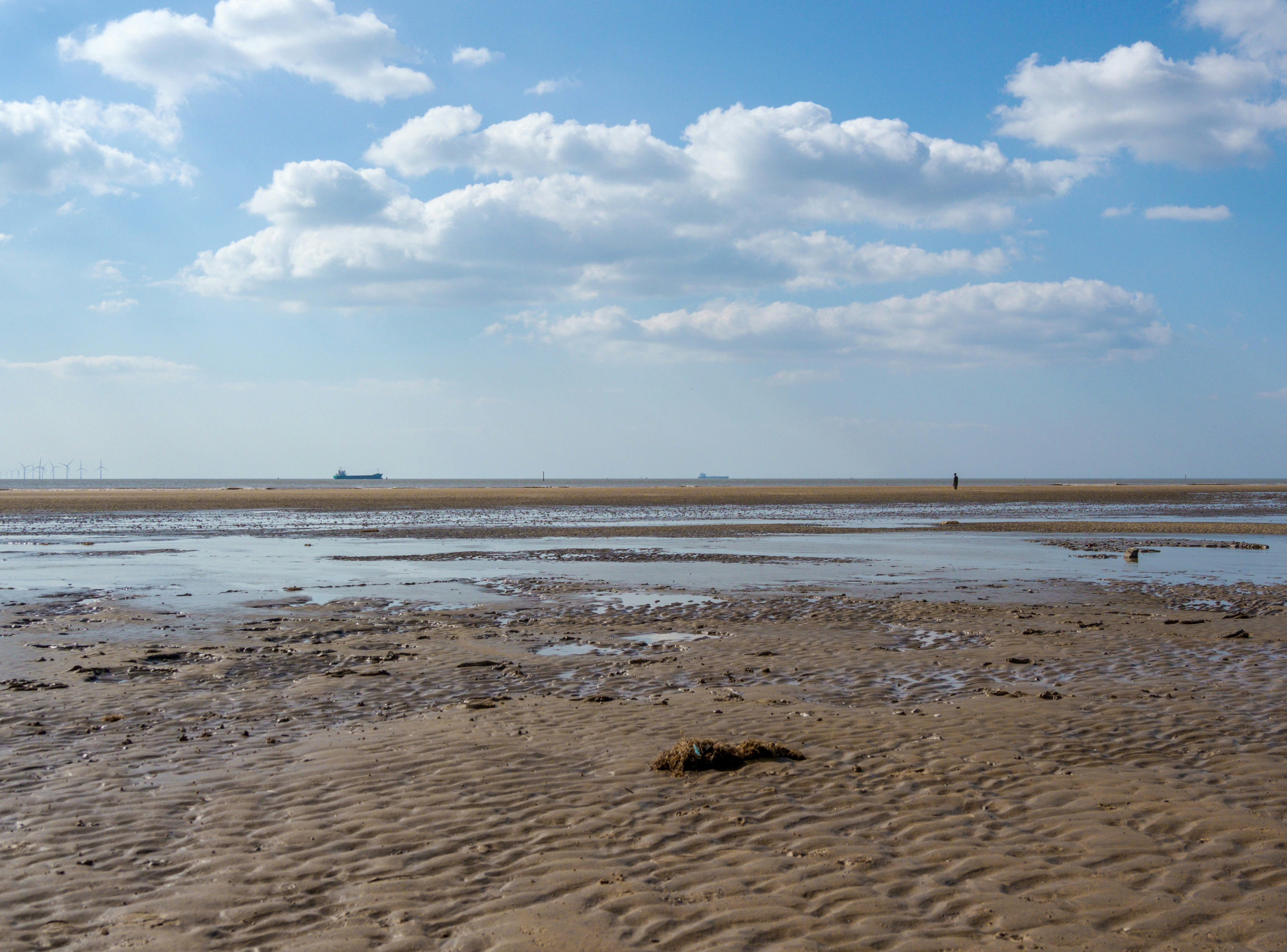 Photo by brett_jordan