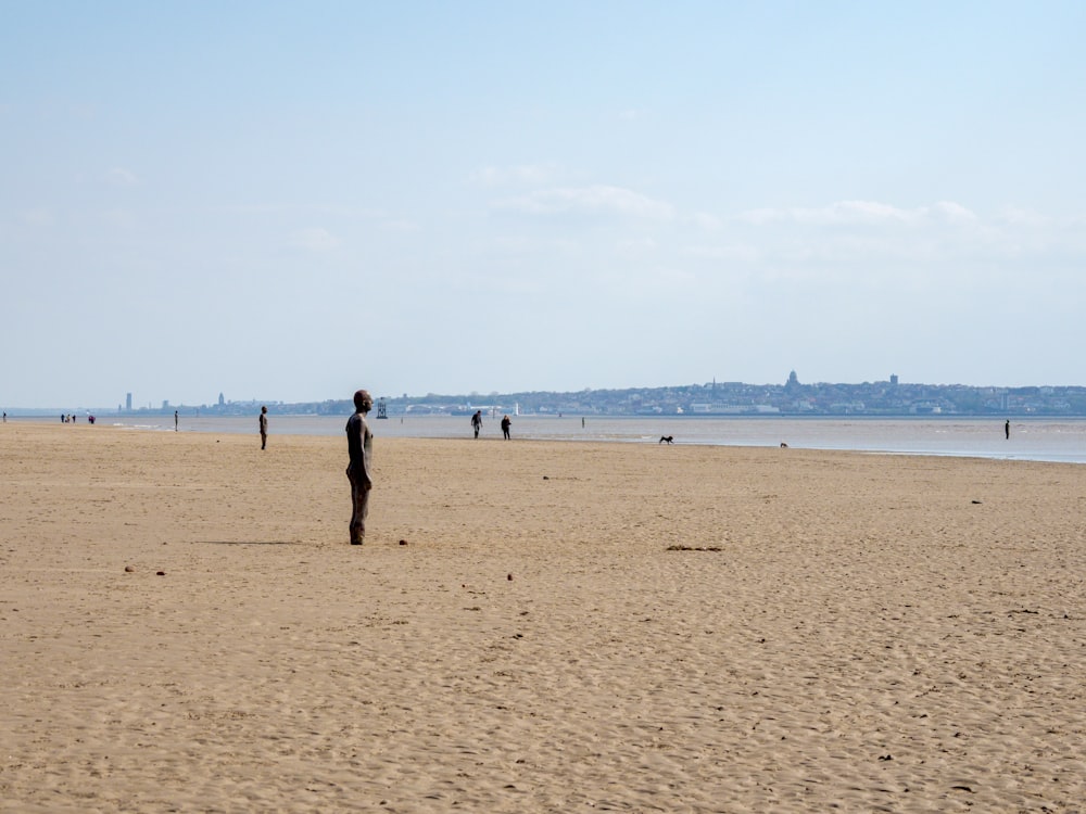 a person standing on a beach