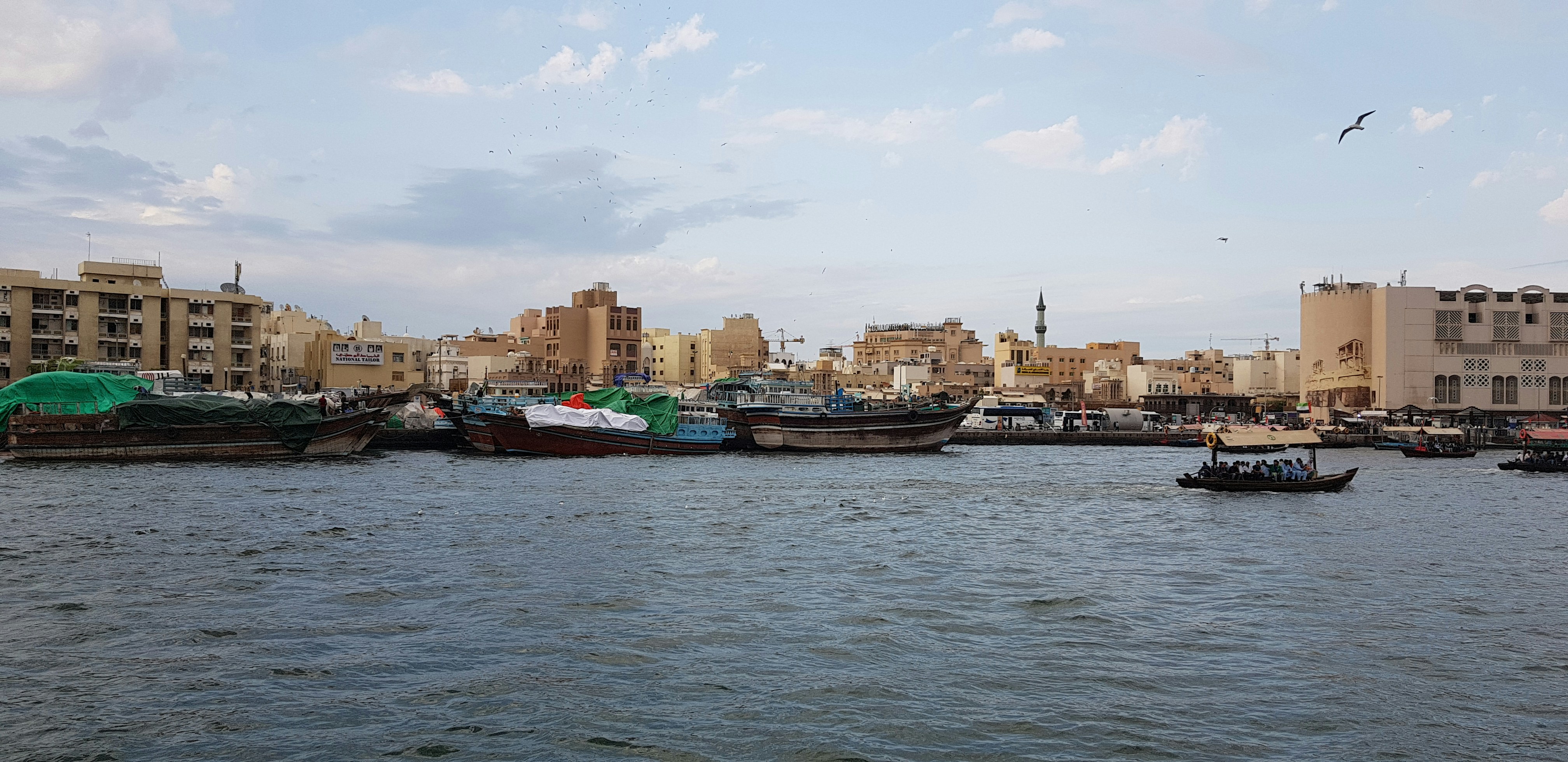 Photo by fsalman01