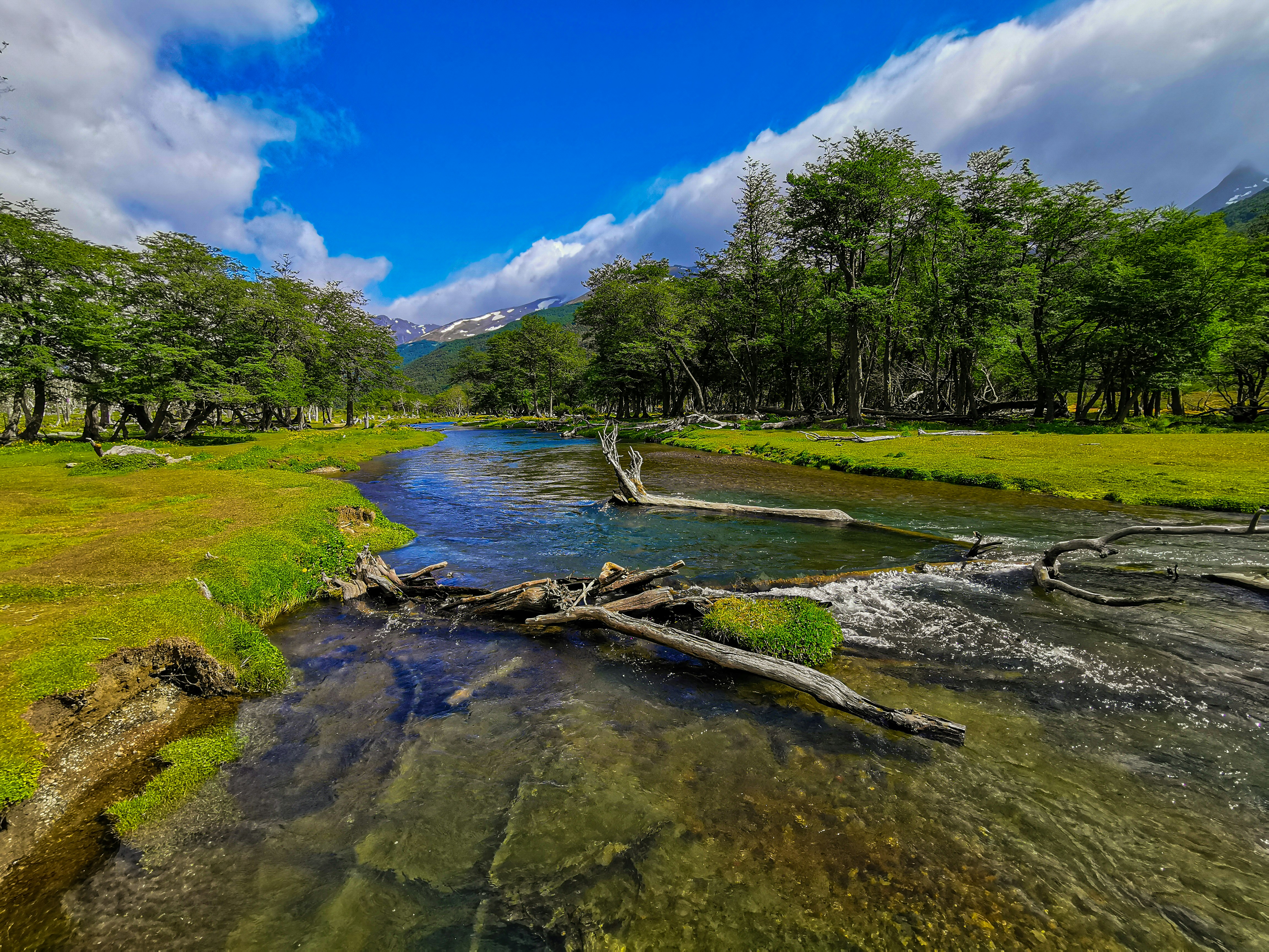 a river with grass and trees, Début de la randonné menant au glacier Vinciguerra à Ushuaia en Terre de Feu dans le sud de l