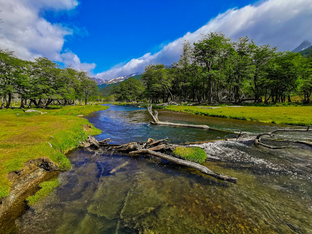 a river with grass and trees, Début de la randonné menant au glacier Vinciguerra à Ushuaia en Terre de Feu dans le sud d