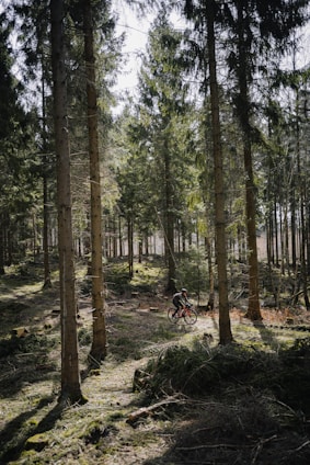 a person riding a bike through a forest