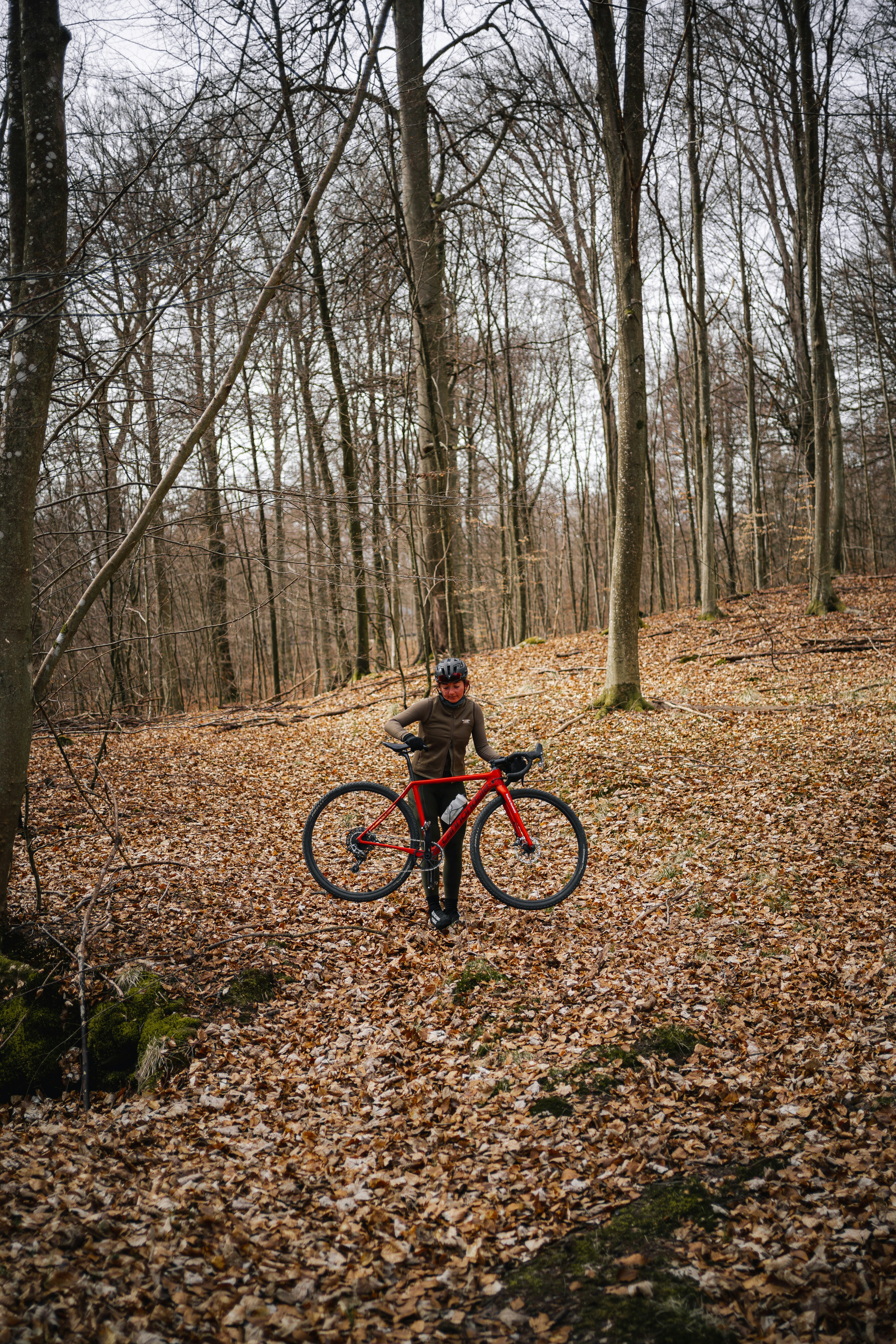 a person on a bike in the woods
