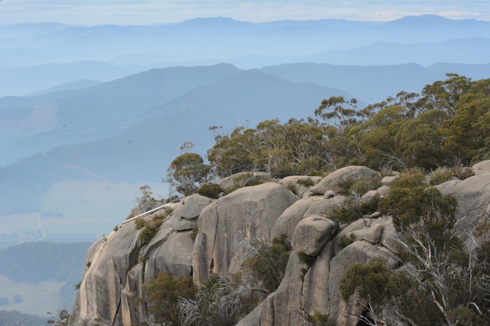 a rocky cliff with trees and mountains in the background