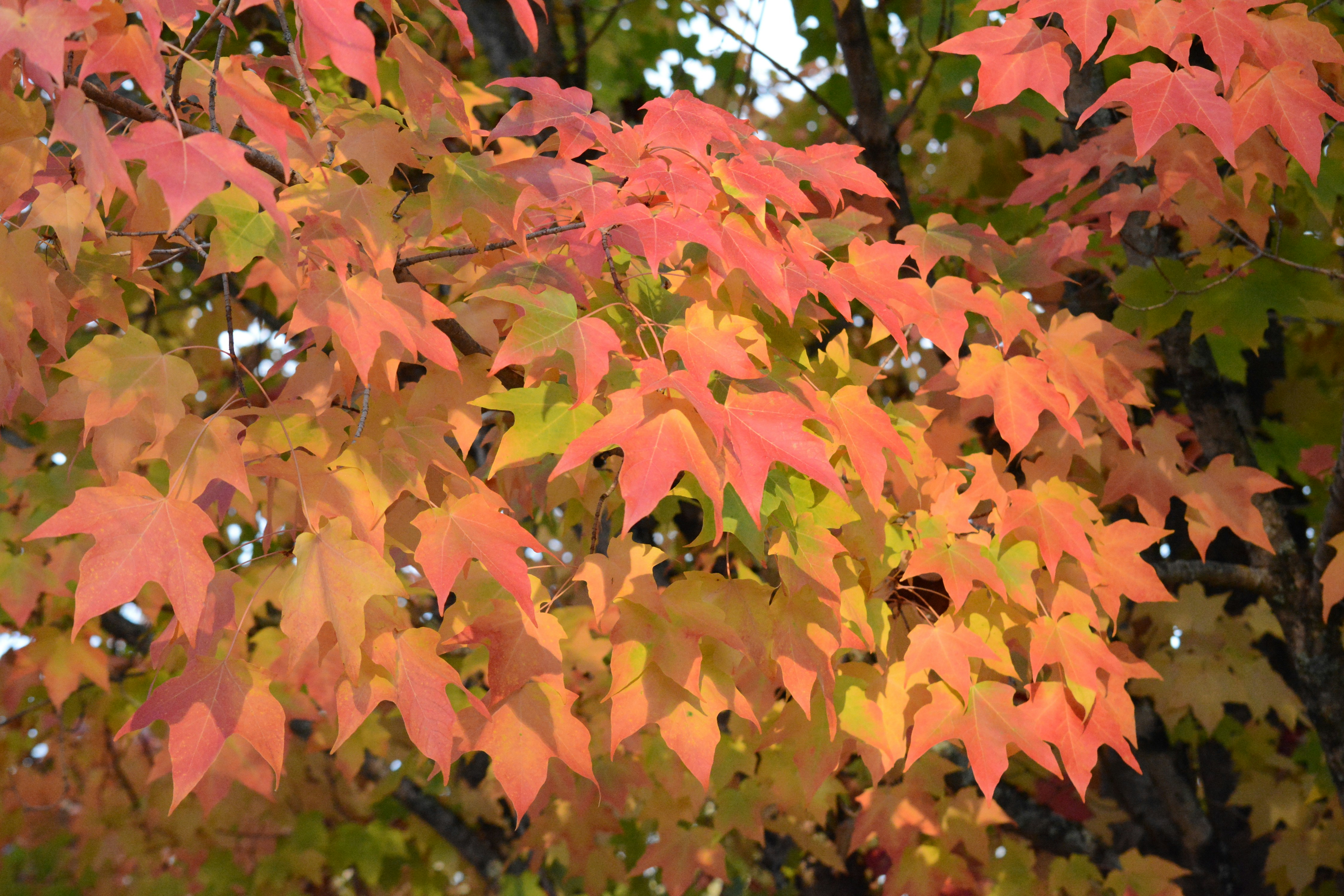 Photo by richard7seals