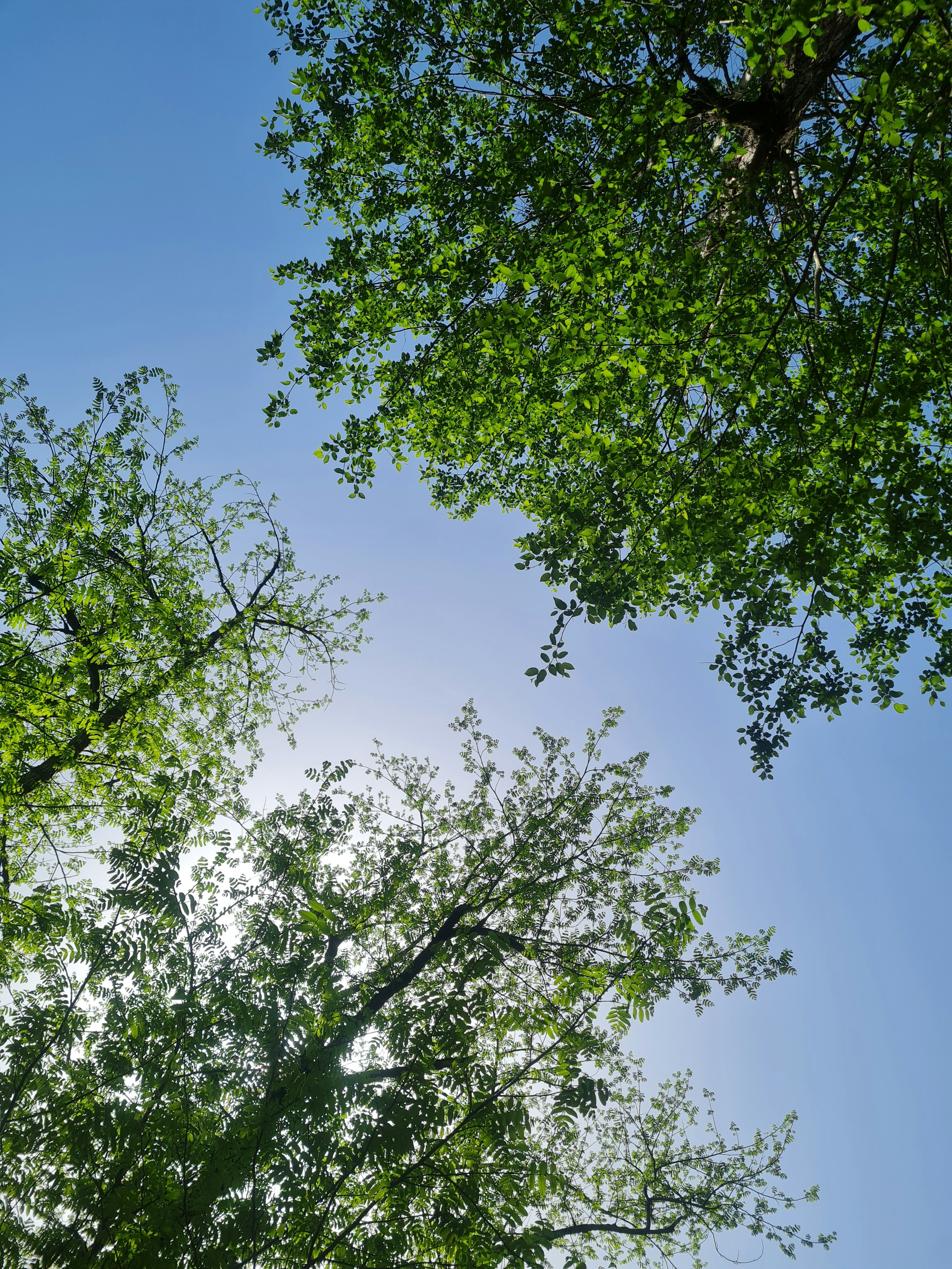 Photo by nimashokati13