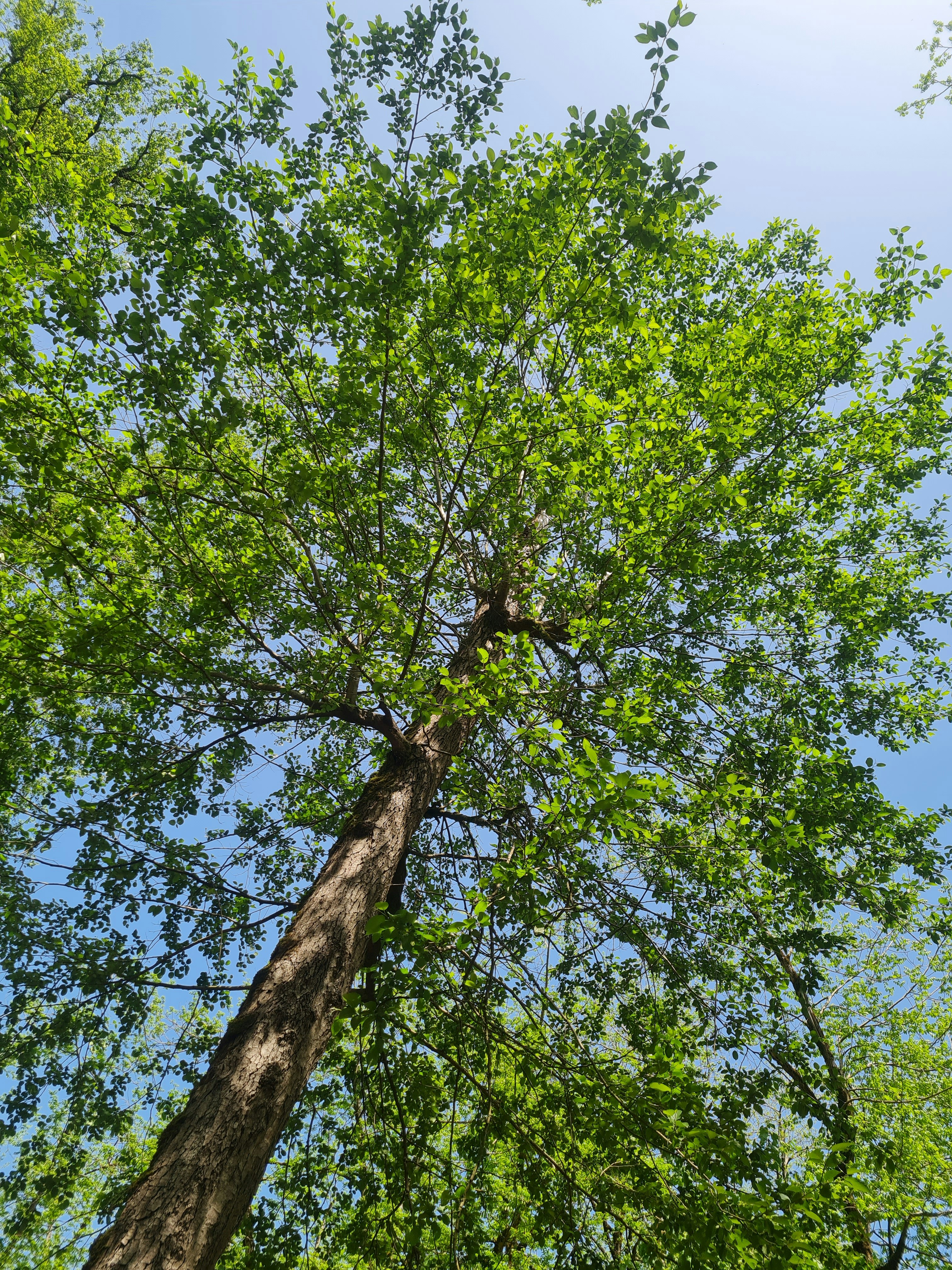 Photo by nimashokati13