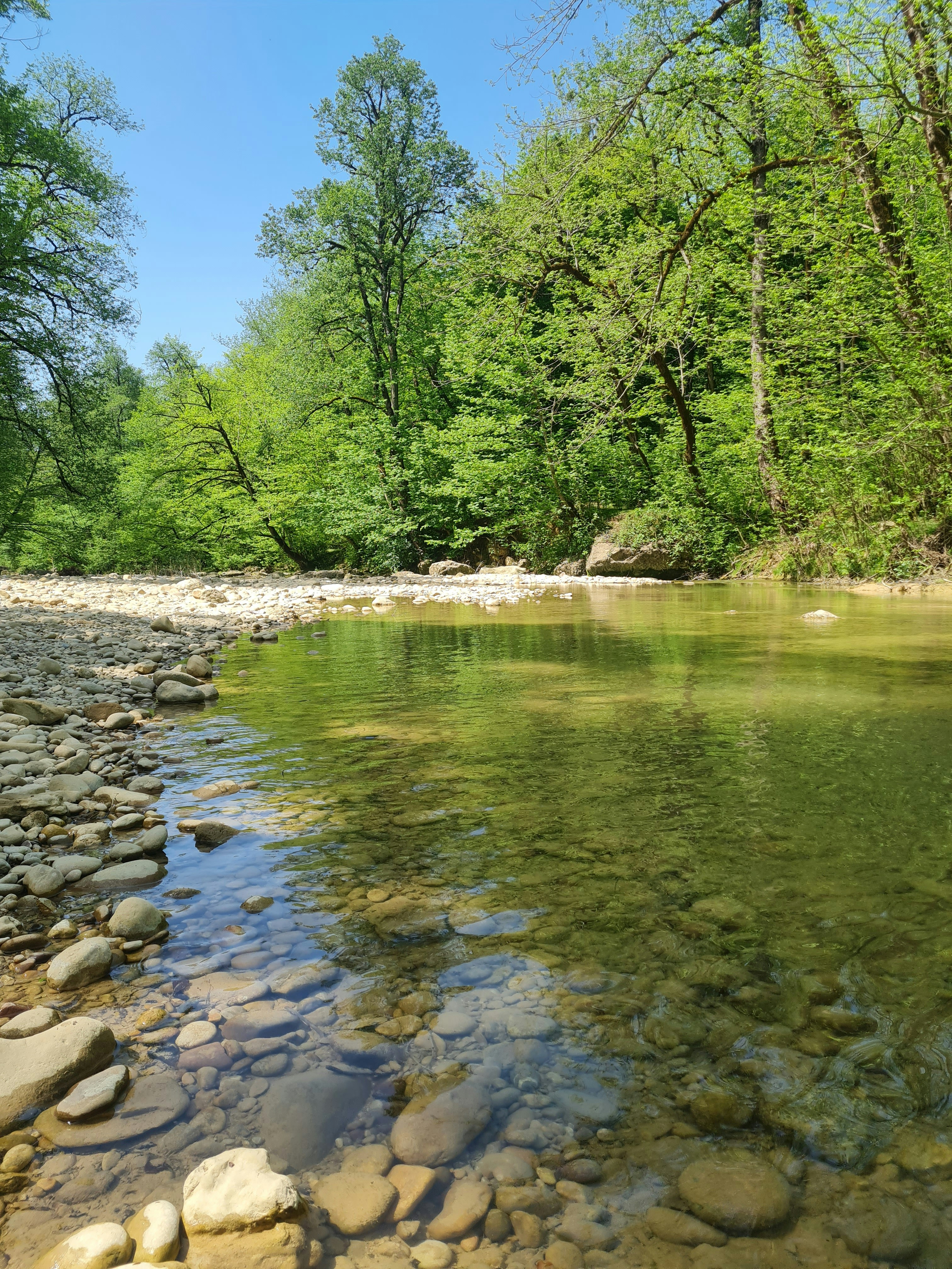 Photo by nimashokati13