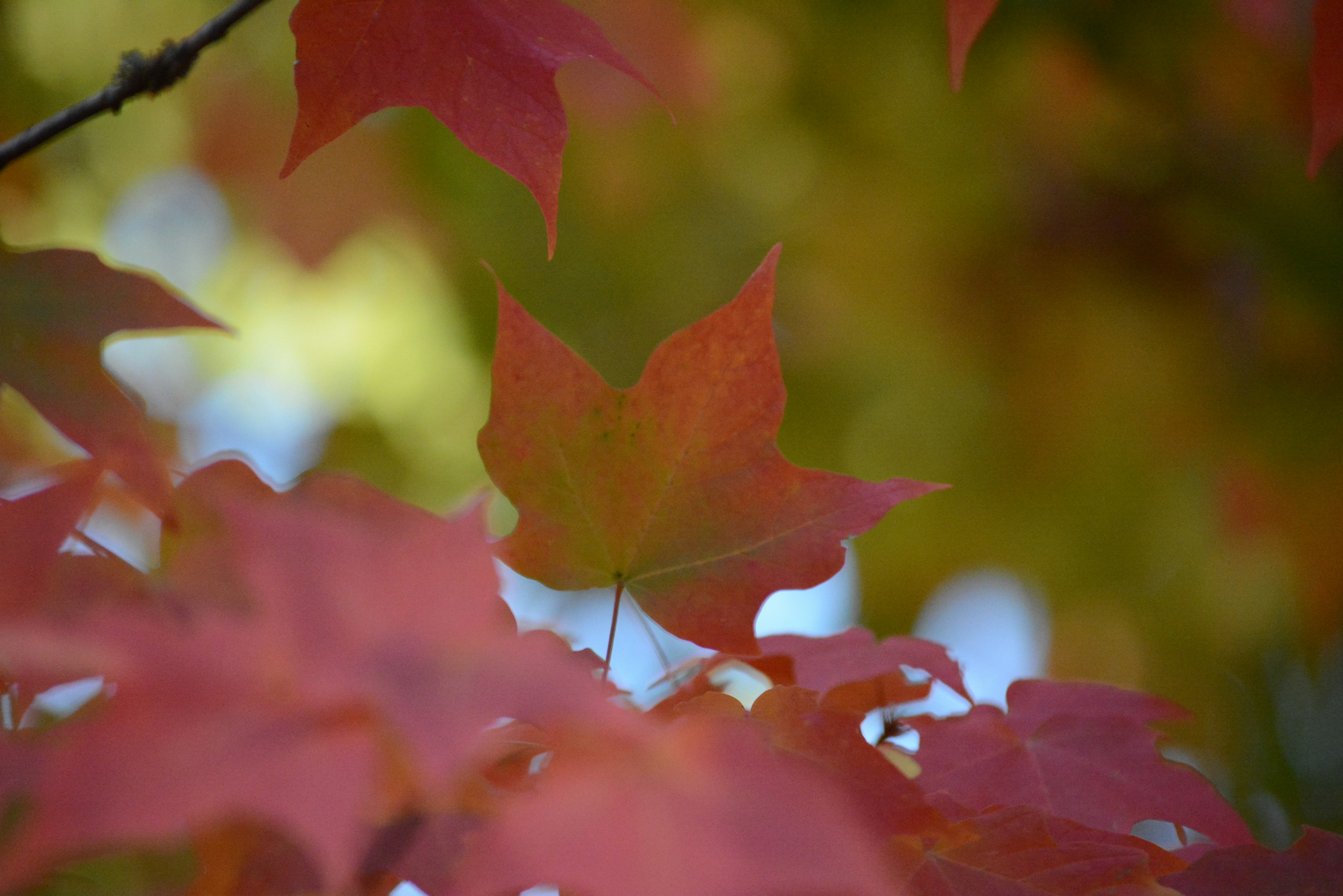 Photo by richard7seals