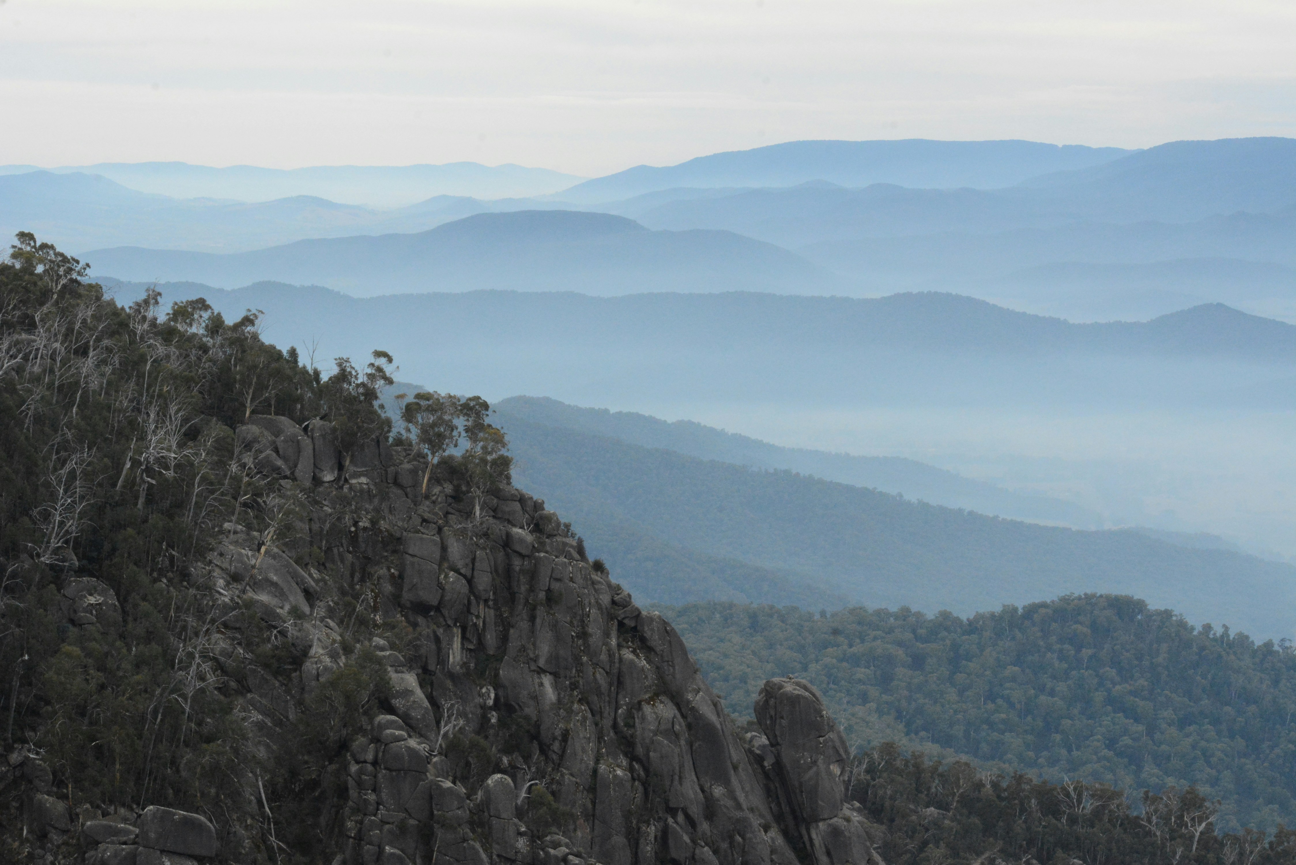 a rocky hillside with trees and mountains in the background
