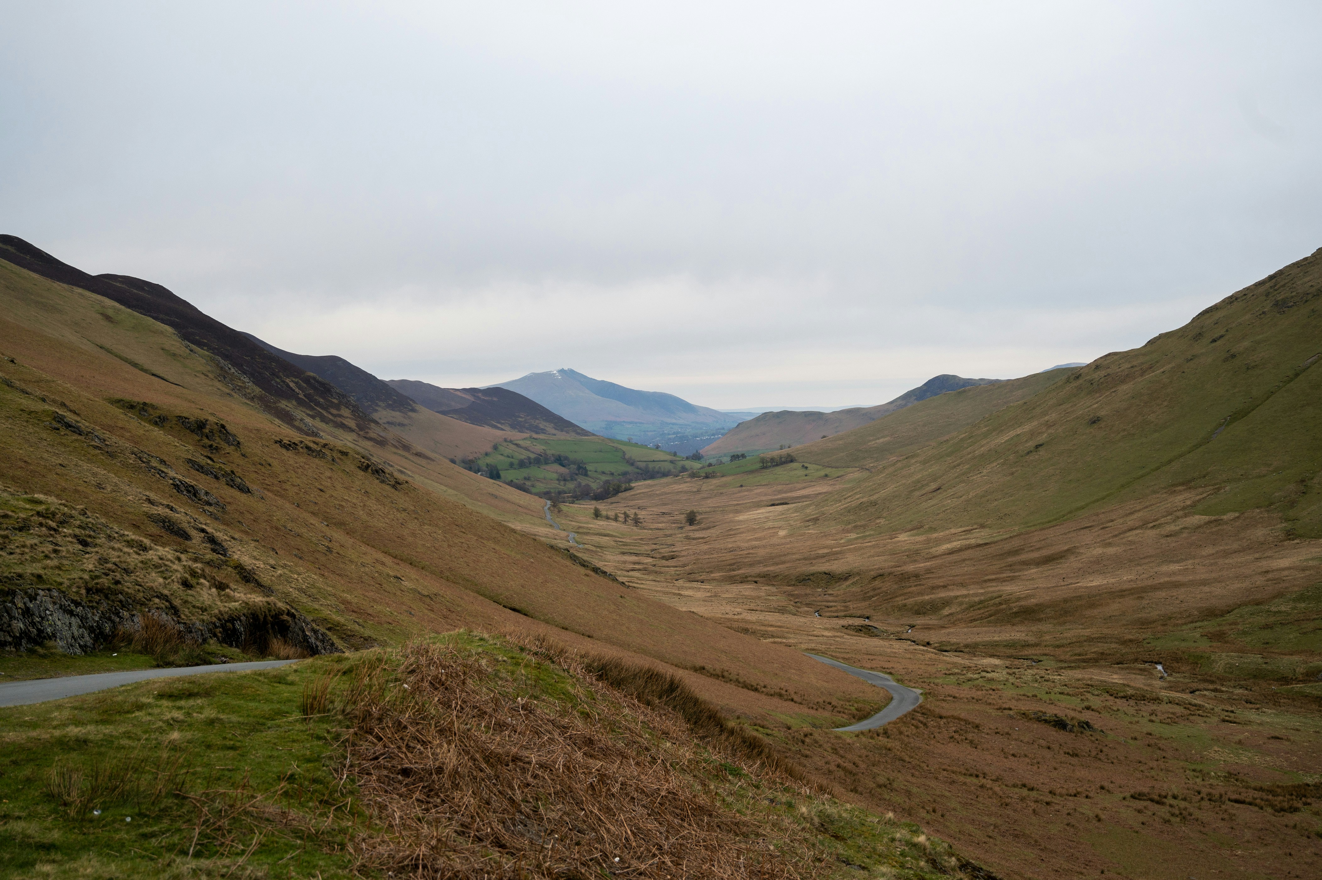 Photo by phoenix_2022