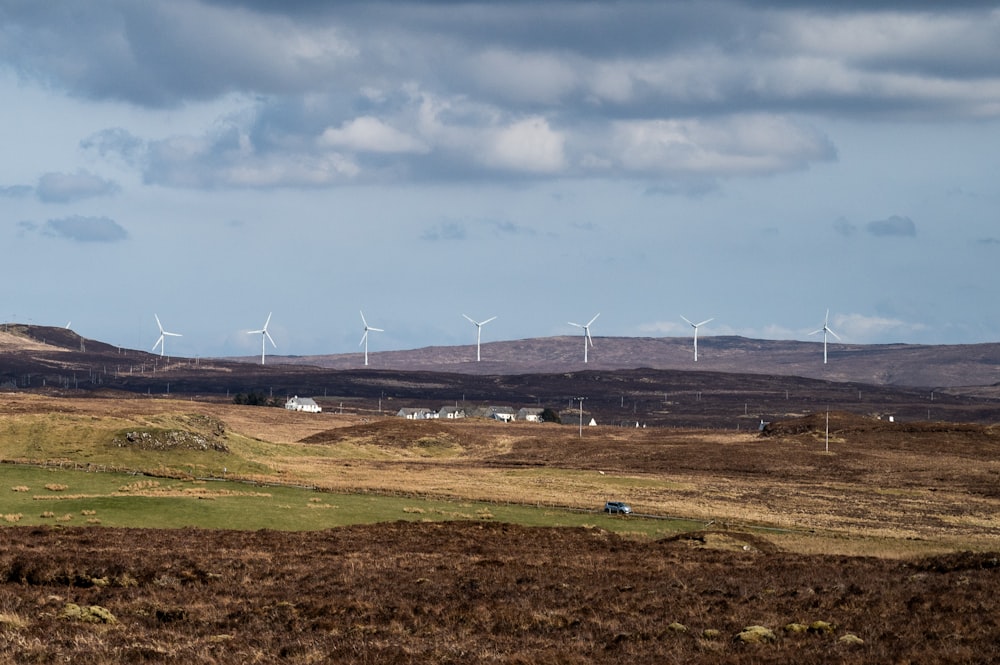 a field with windmills in it