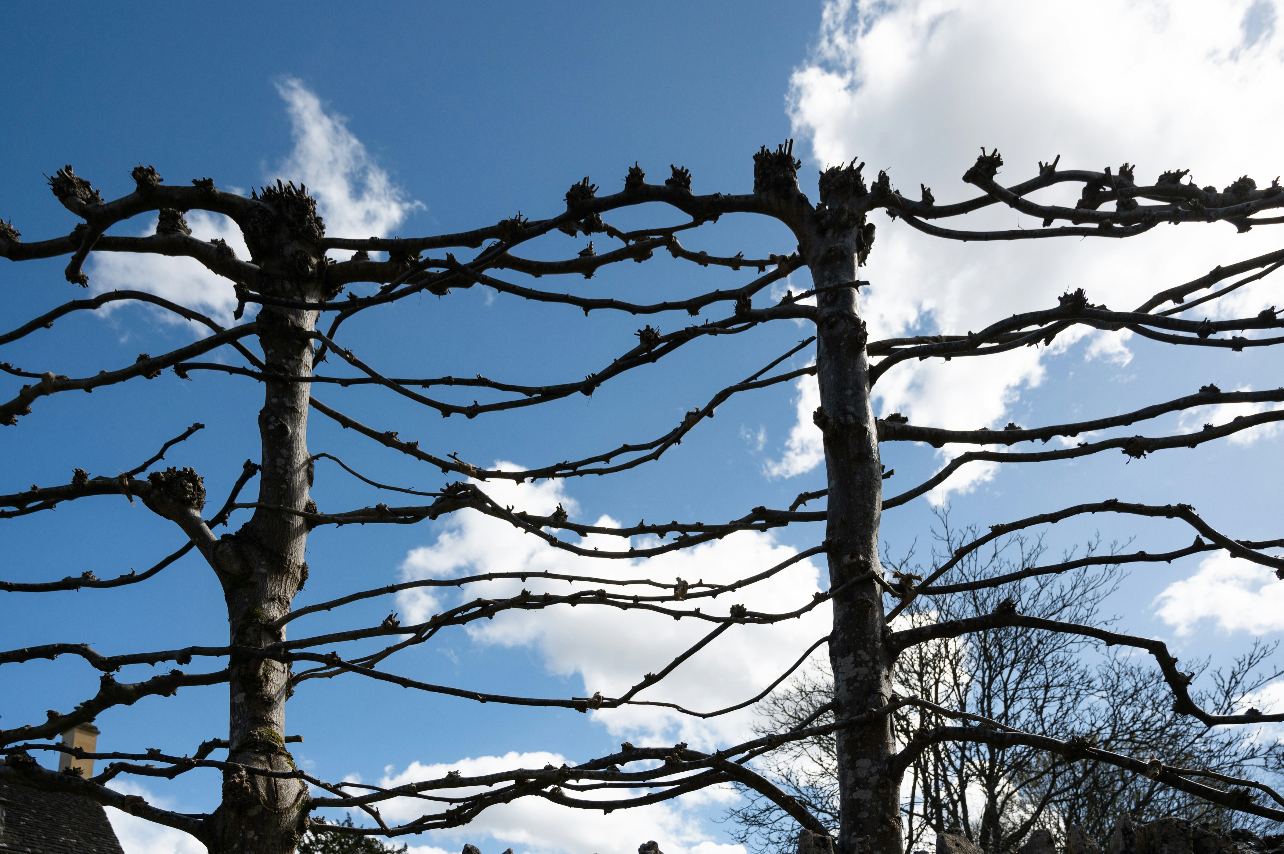 Photo by phoenix_2022