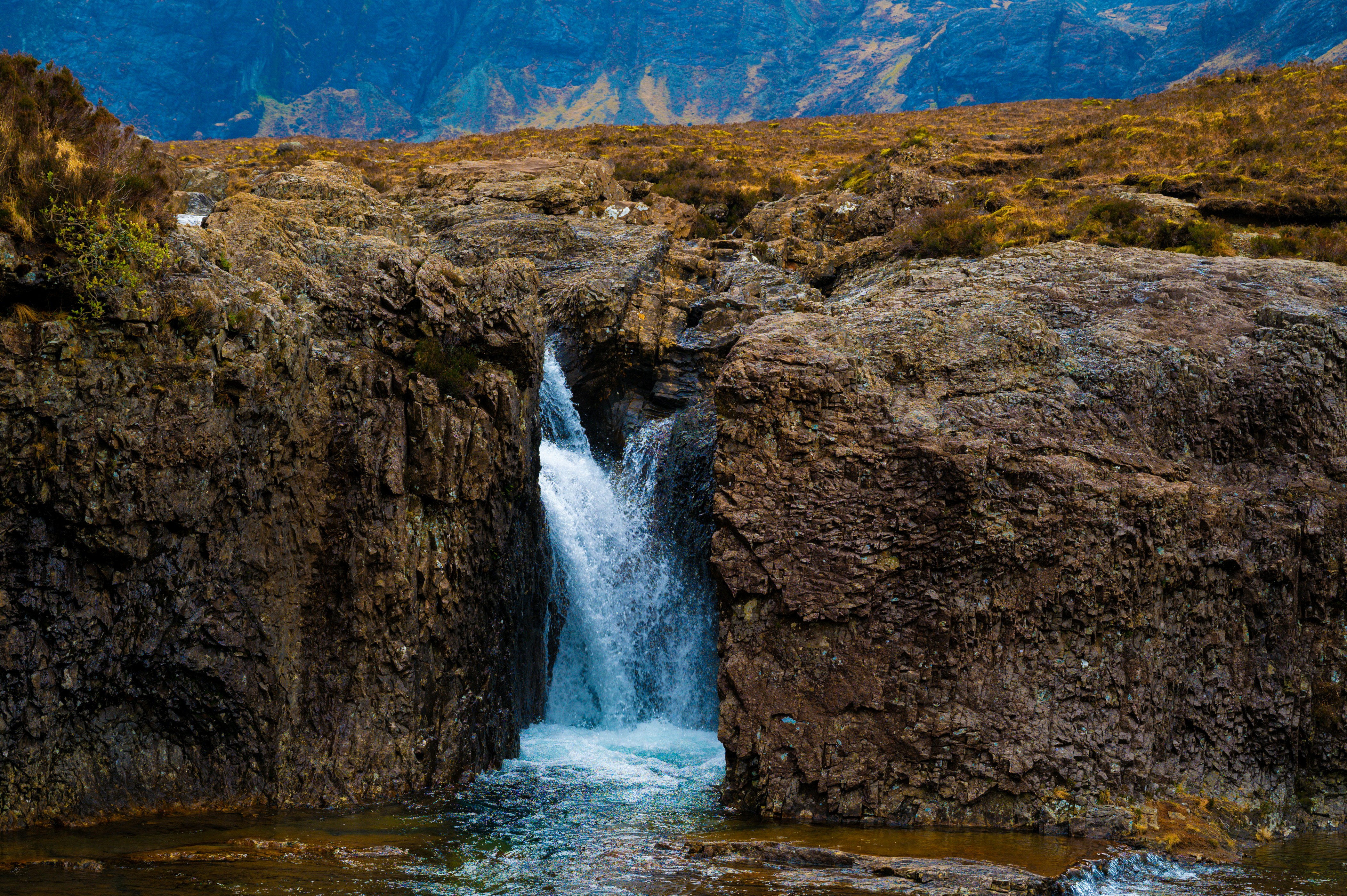 Photo by phoenix_2022