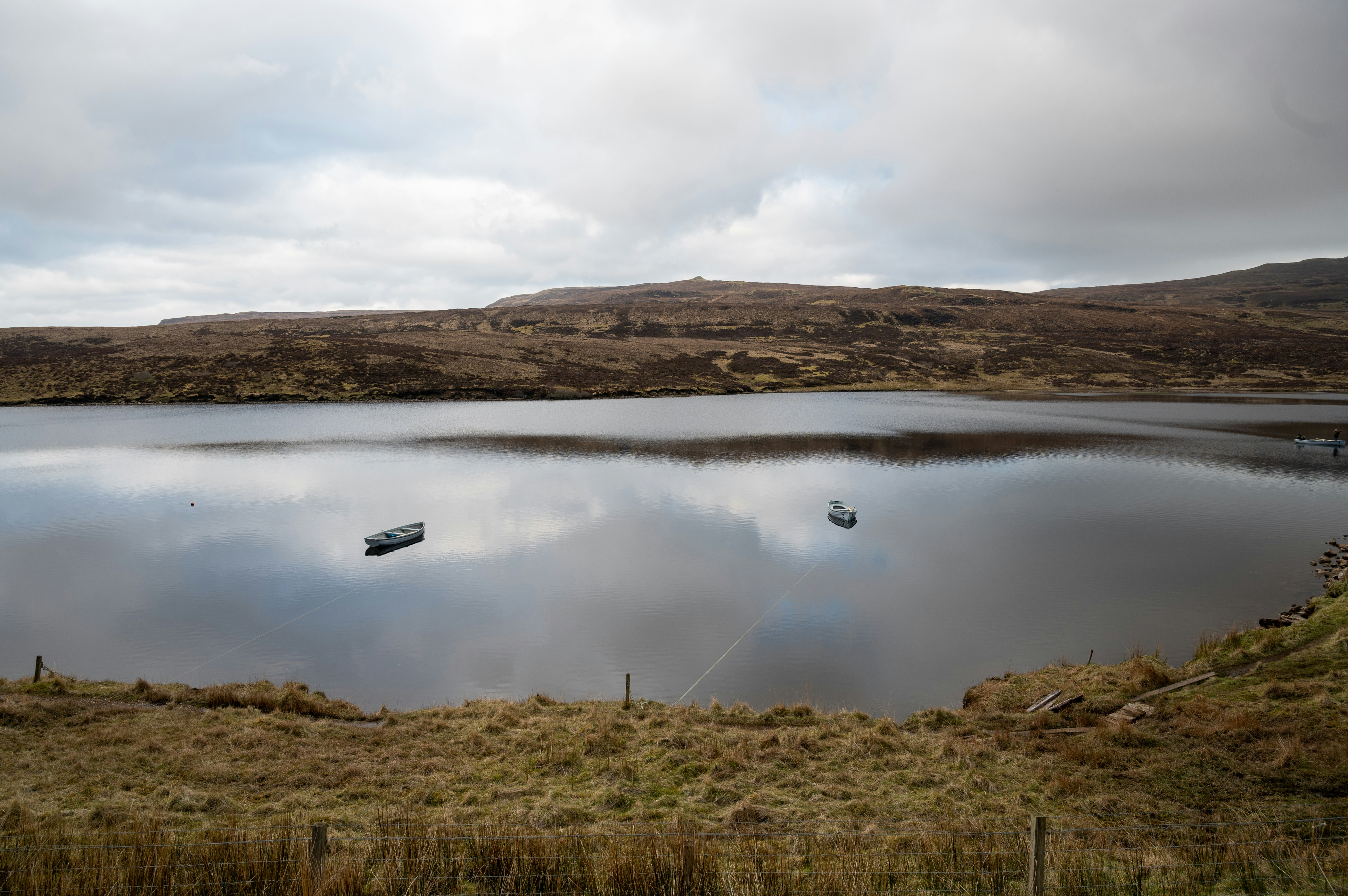 Photo by phoenix_2022