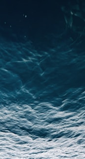 Dark, deep ocean waves ripple and flow with a sense of motion and depth, creating a mesmerizing pattern on the water's surface.