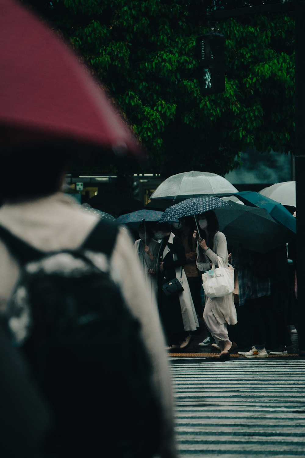 people with umbrellas on a sidewalk