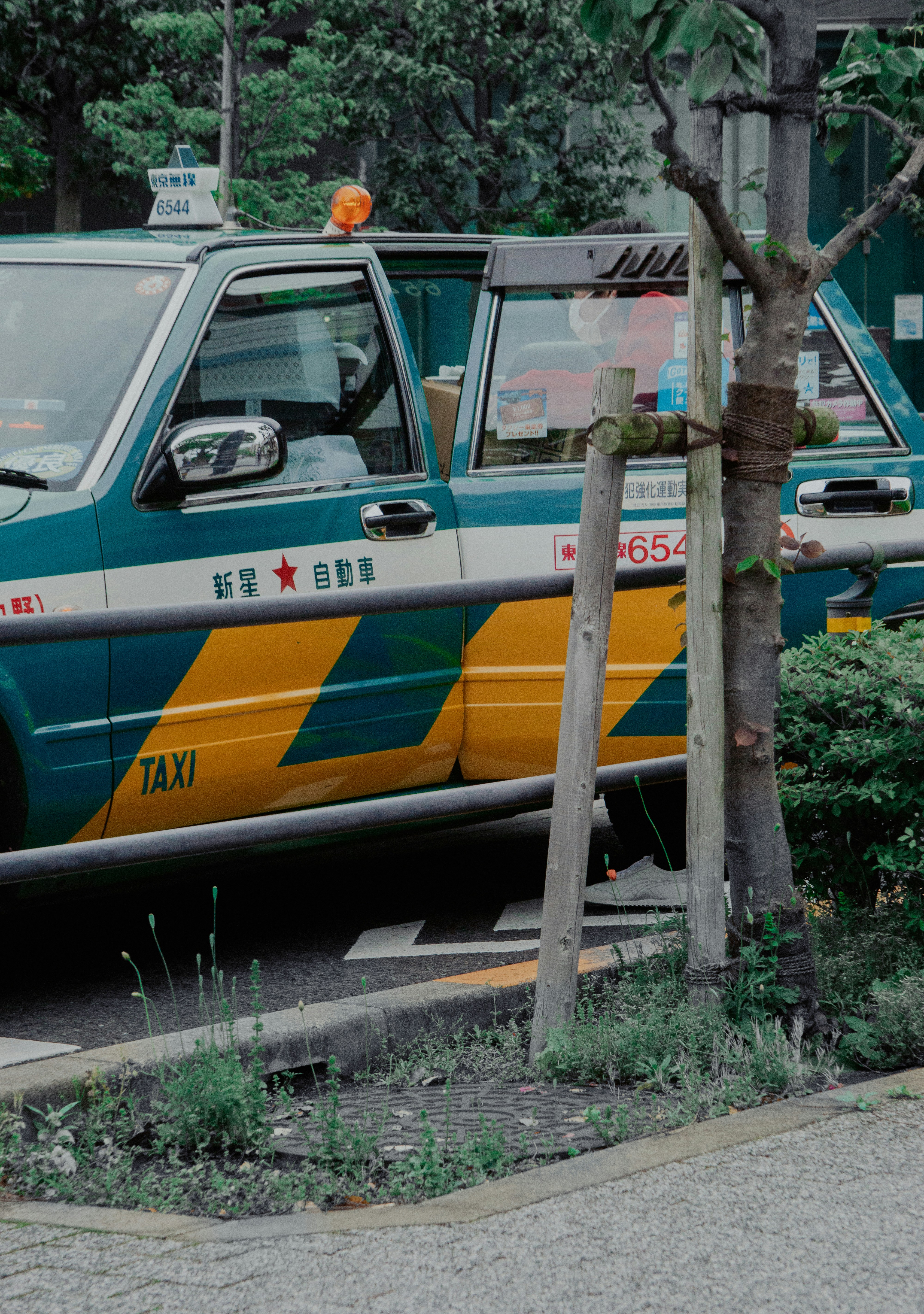 a blue and yellow bus parked next to a tree