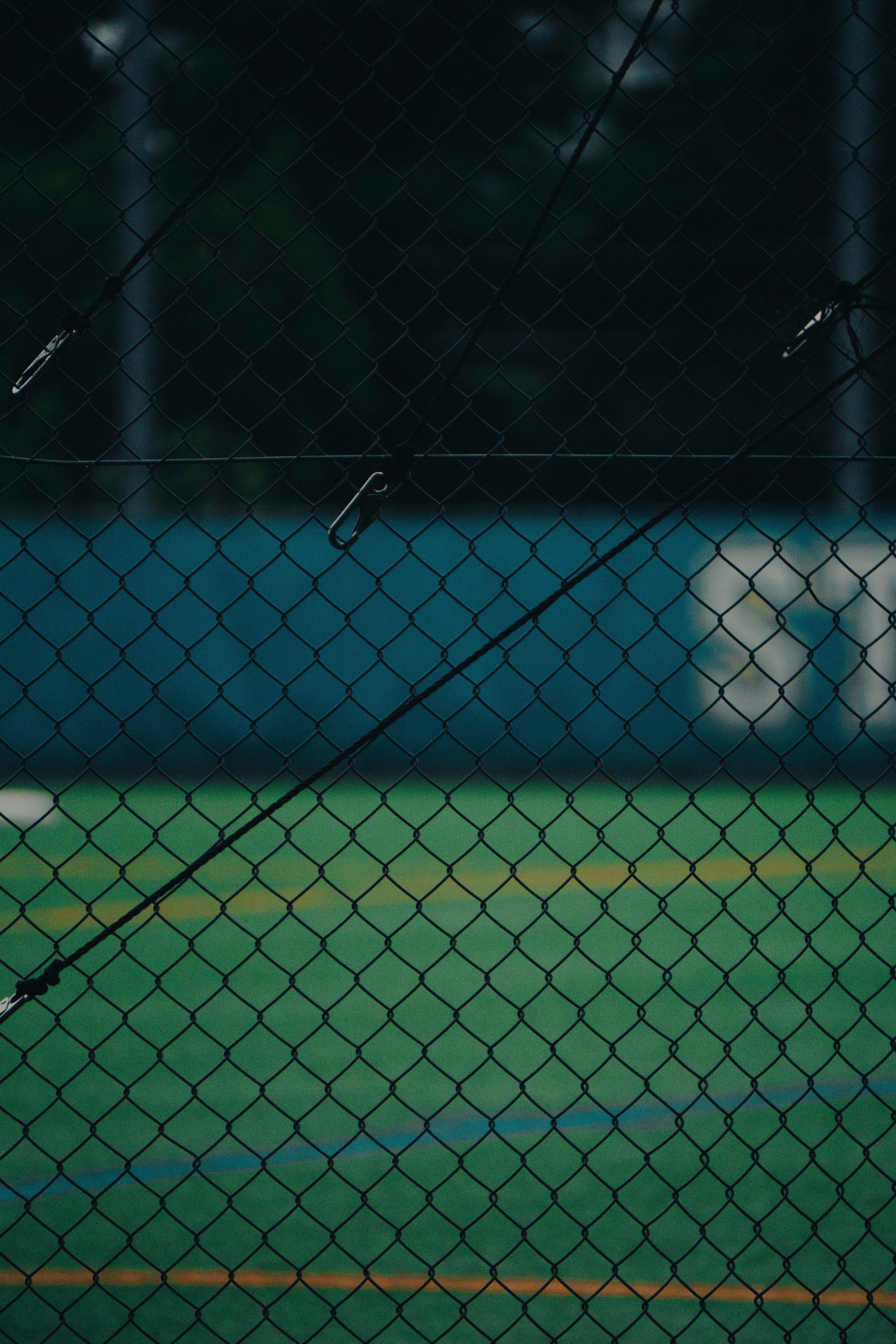 Today's Stars Sports Cards