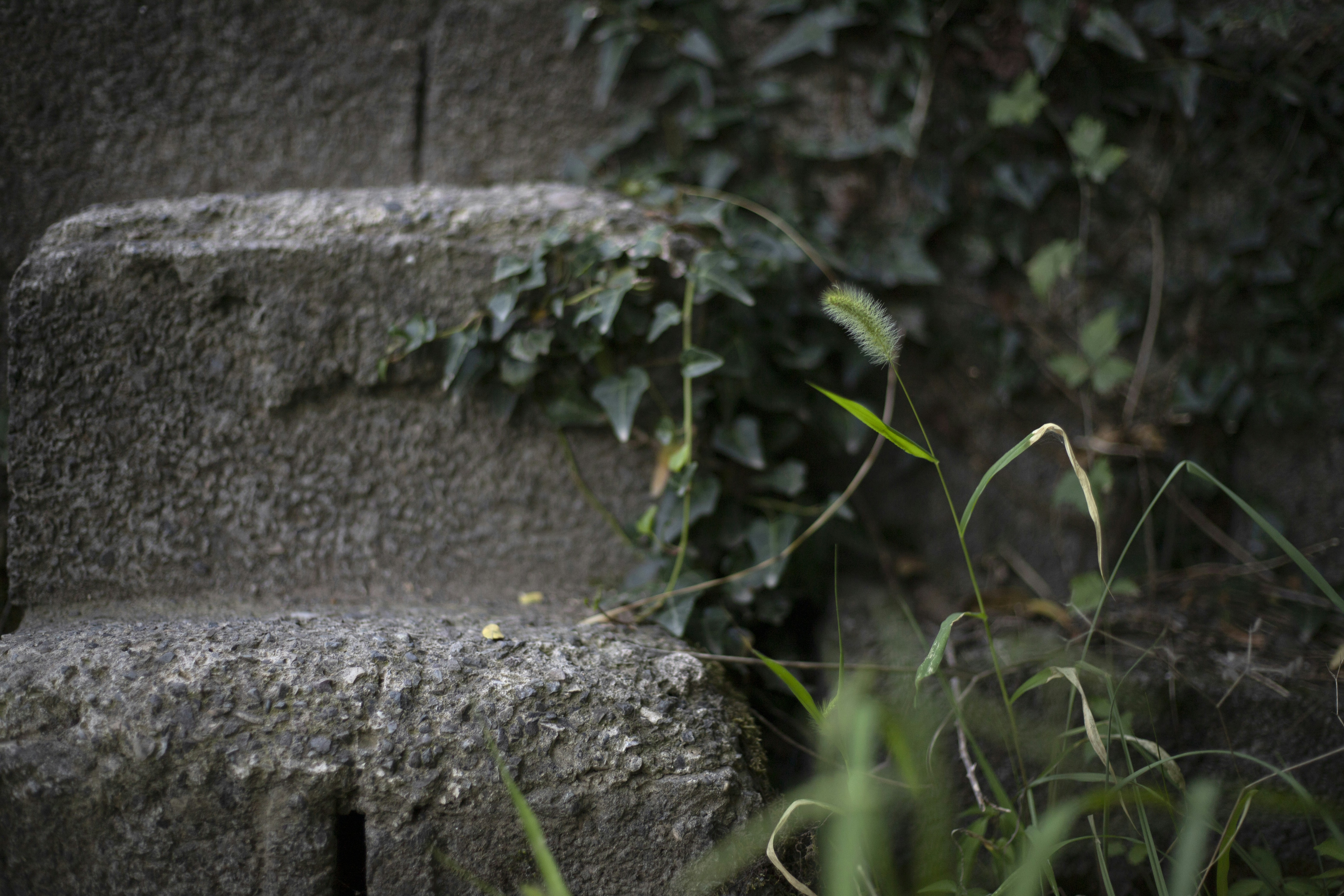 Photo by nahalkavand