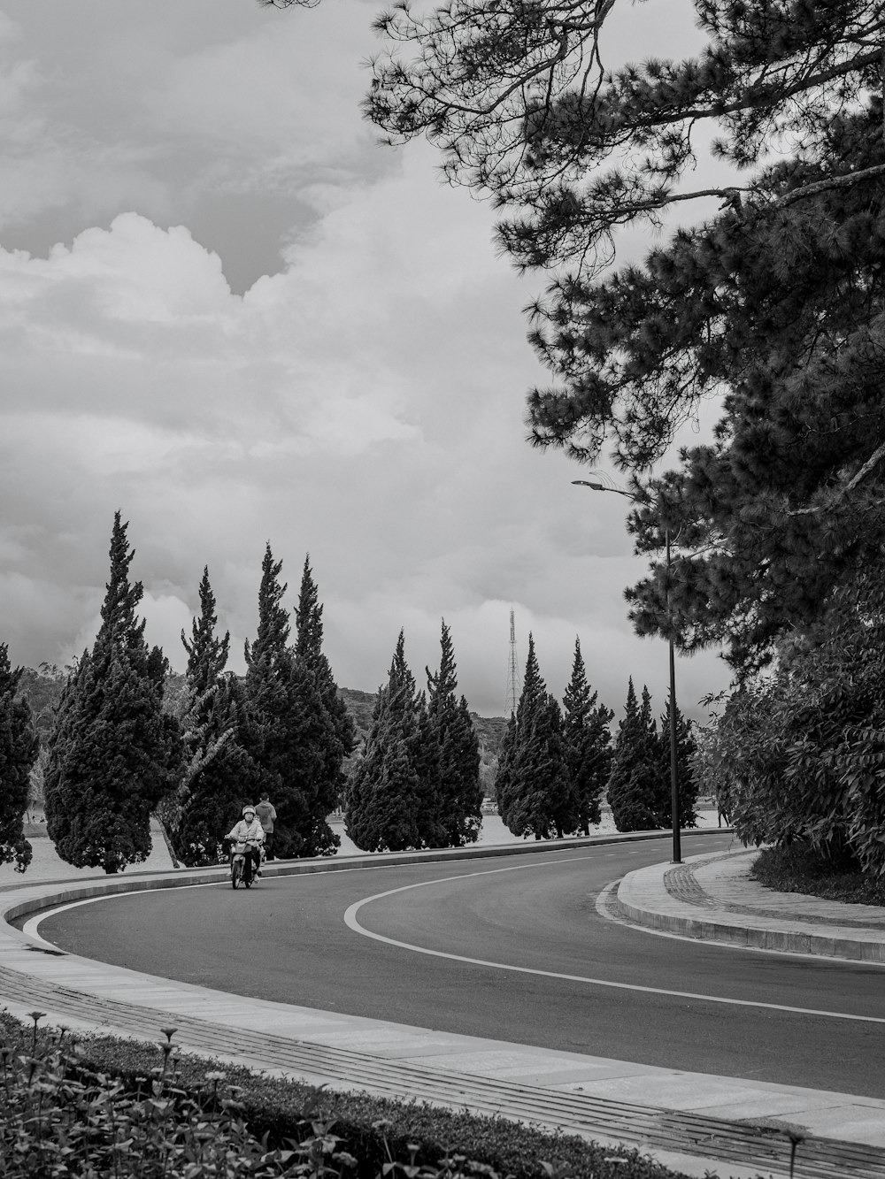 a person riding a bicycle on a road with trees on the side