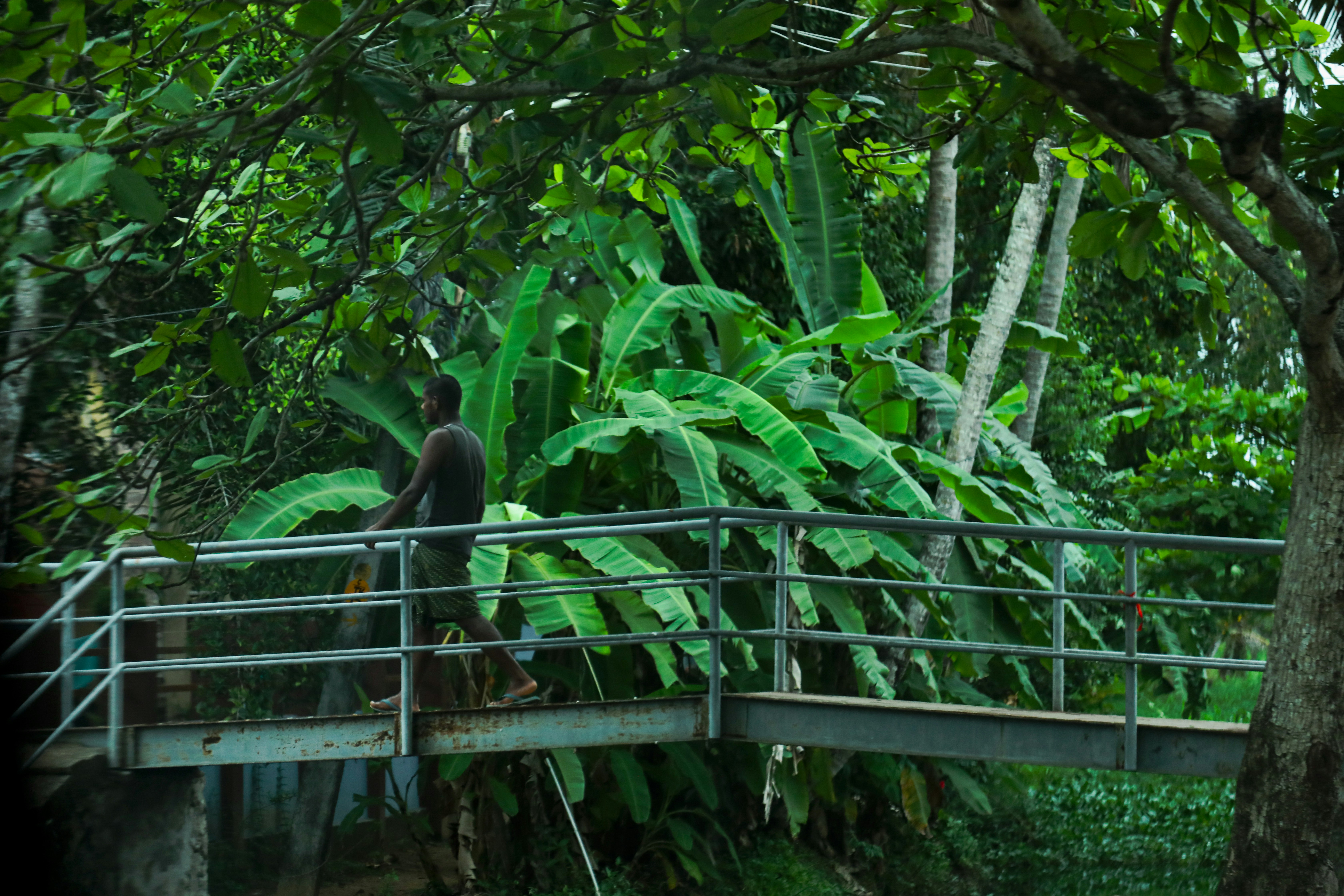 Photo by zachariahjr97