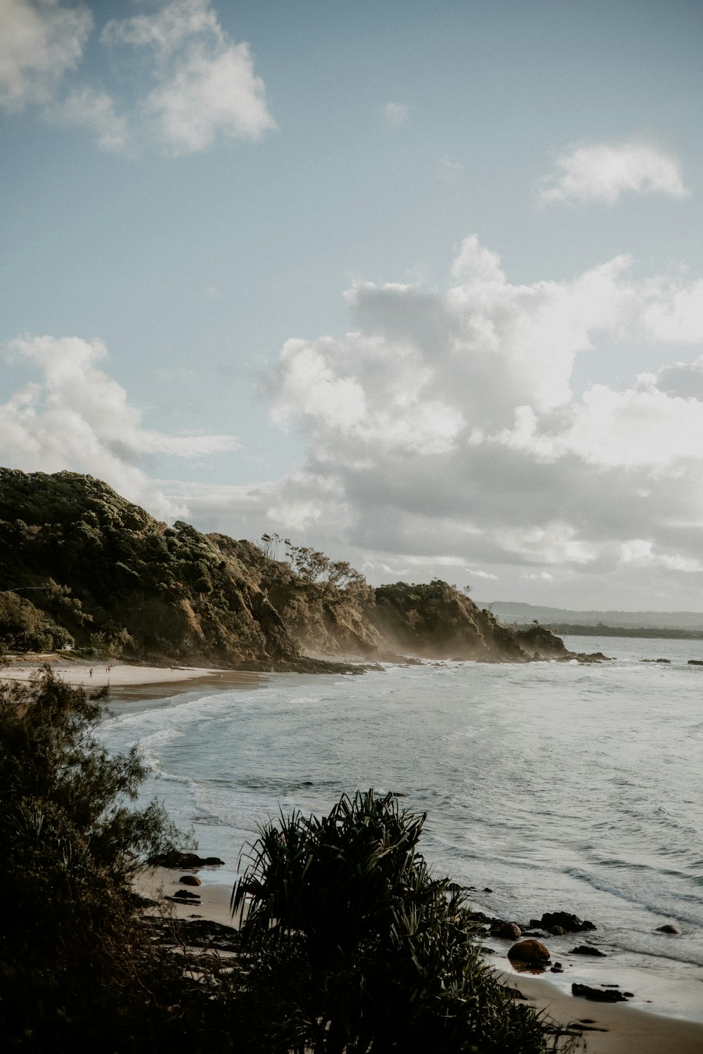 a beach with a hill and trees