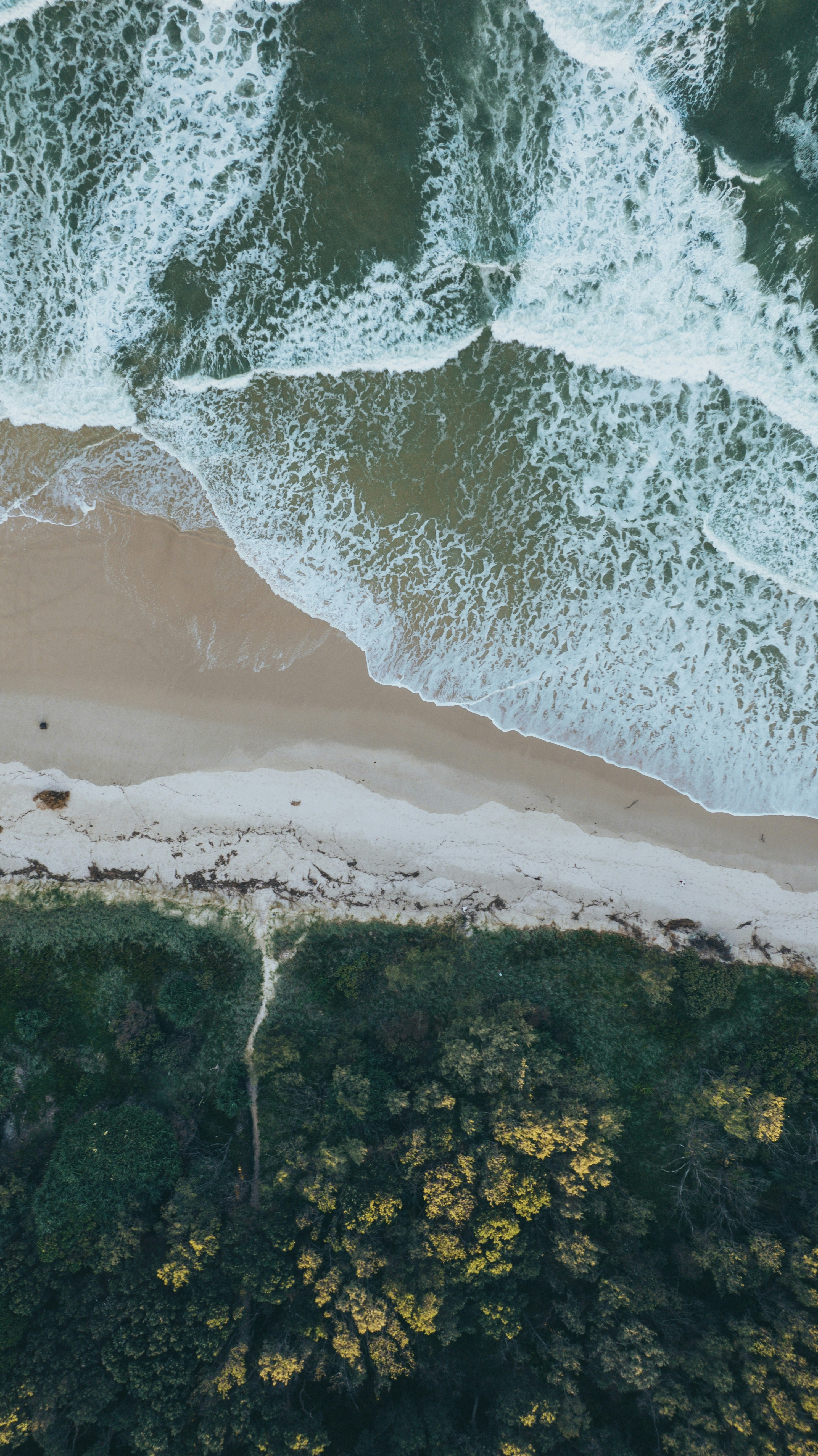 Photo by angus_buchanan