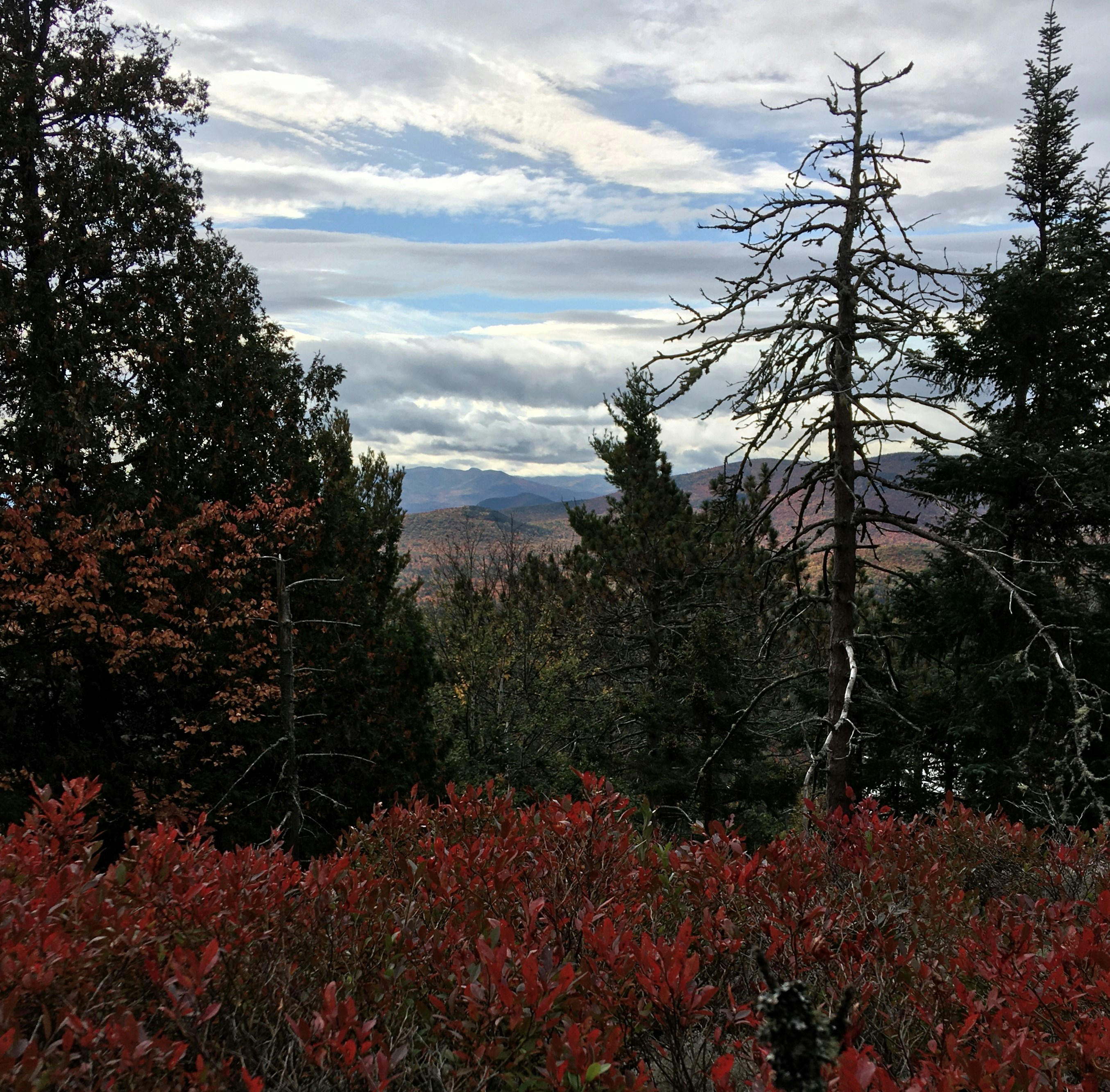 Photo by wondroustrange