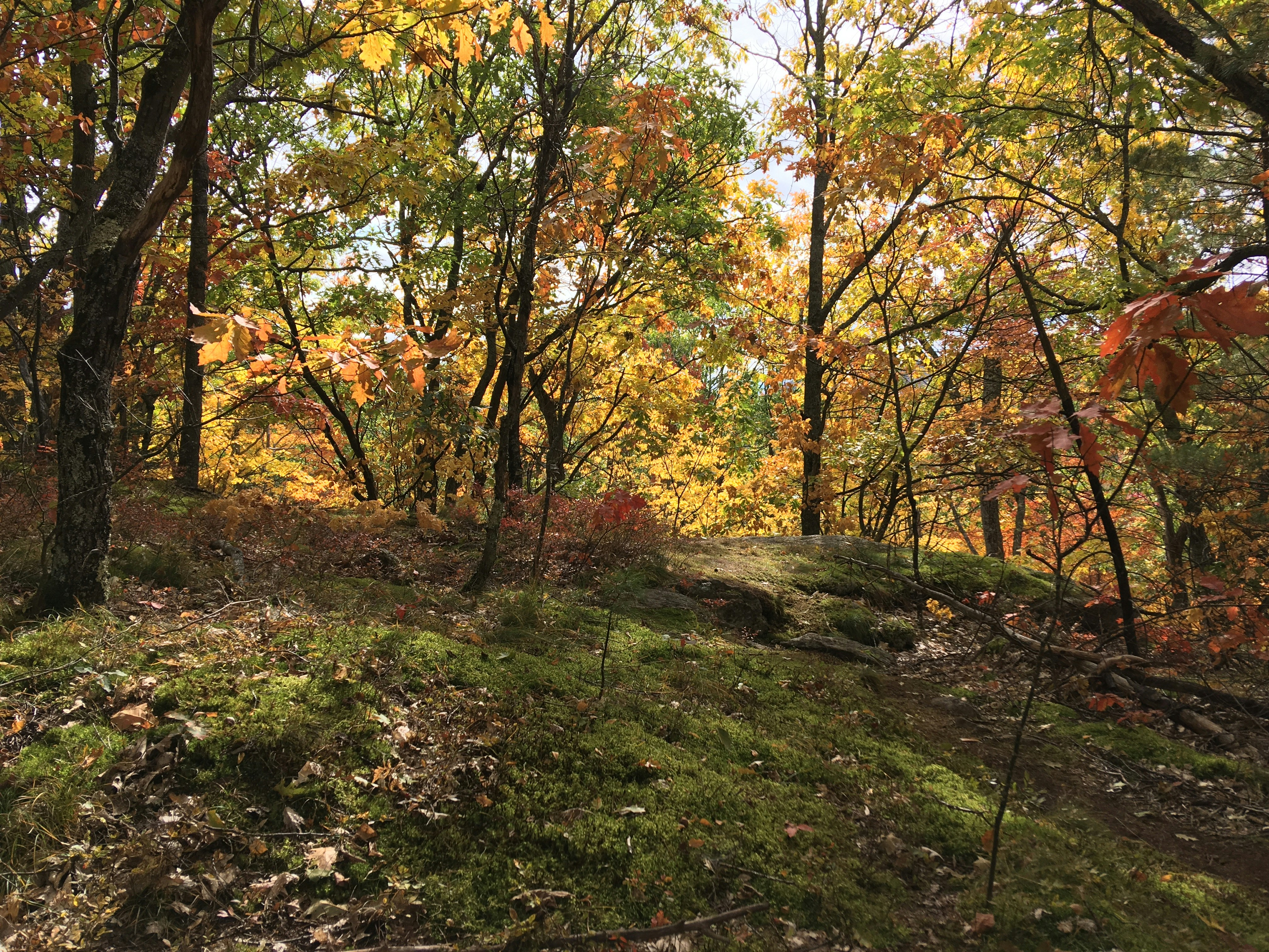 Photo by wondroustrange