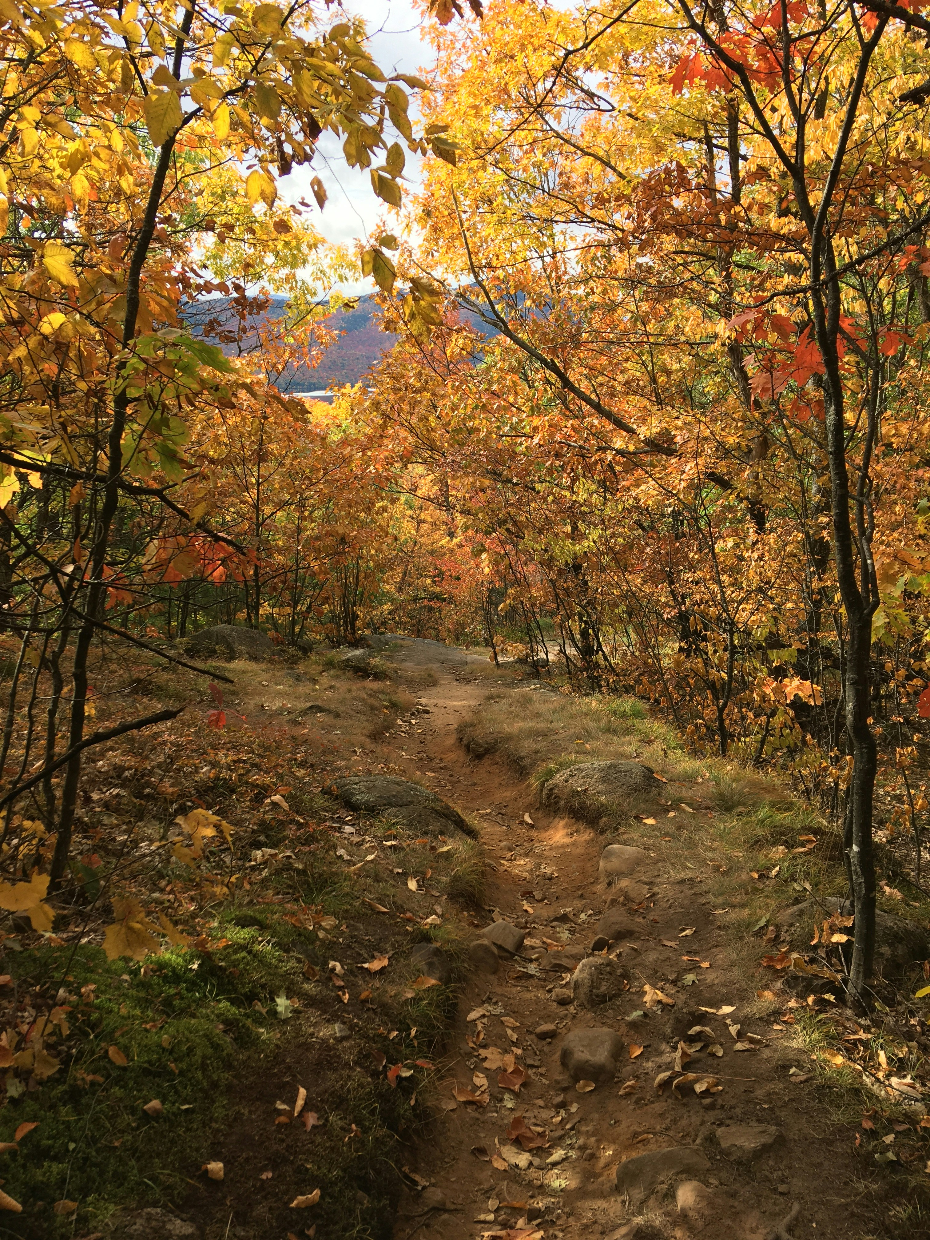 Photo by wondroustrange