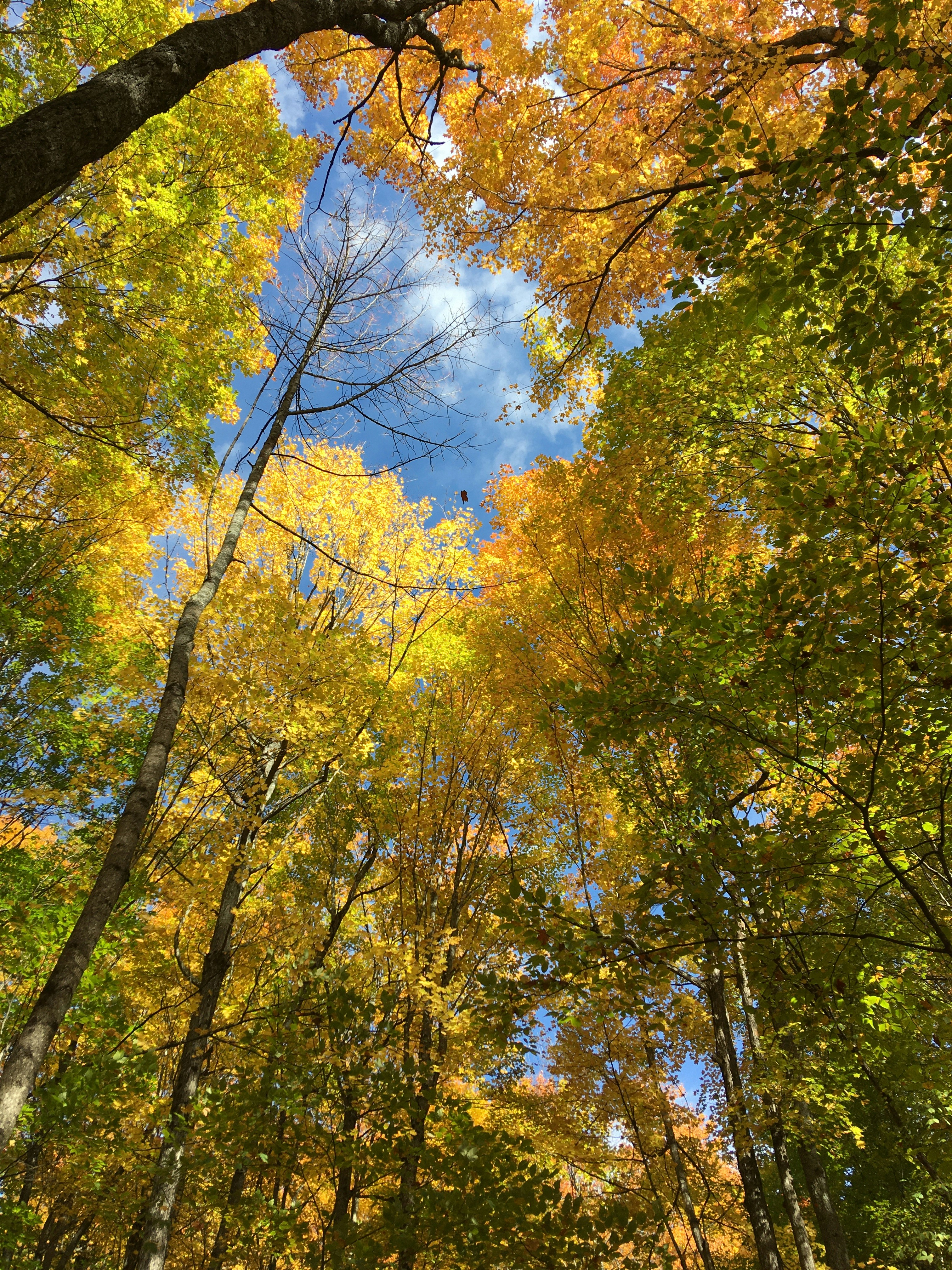 Photo by wondroustrange