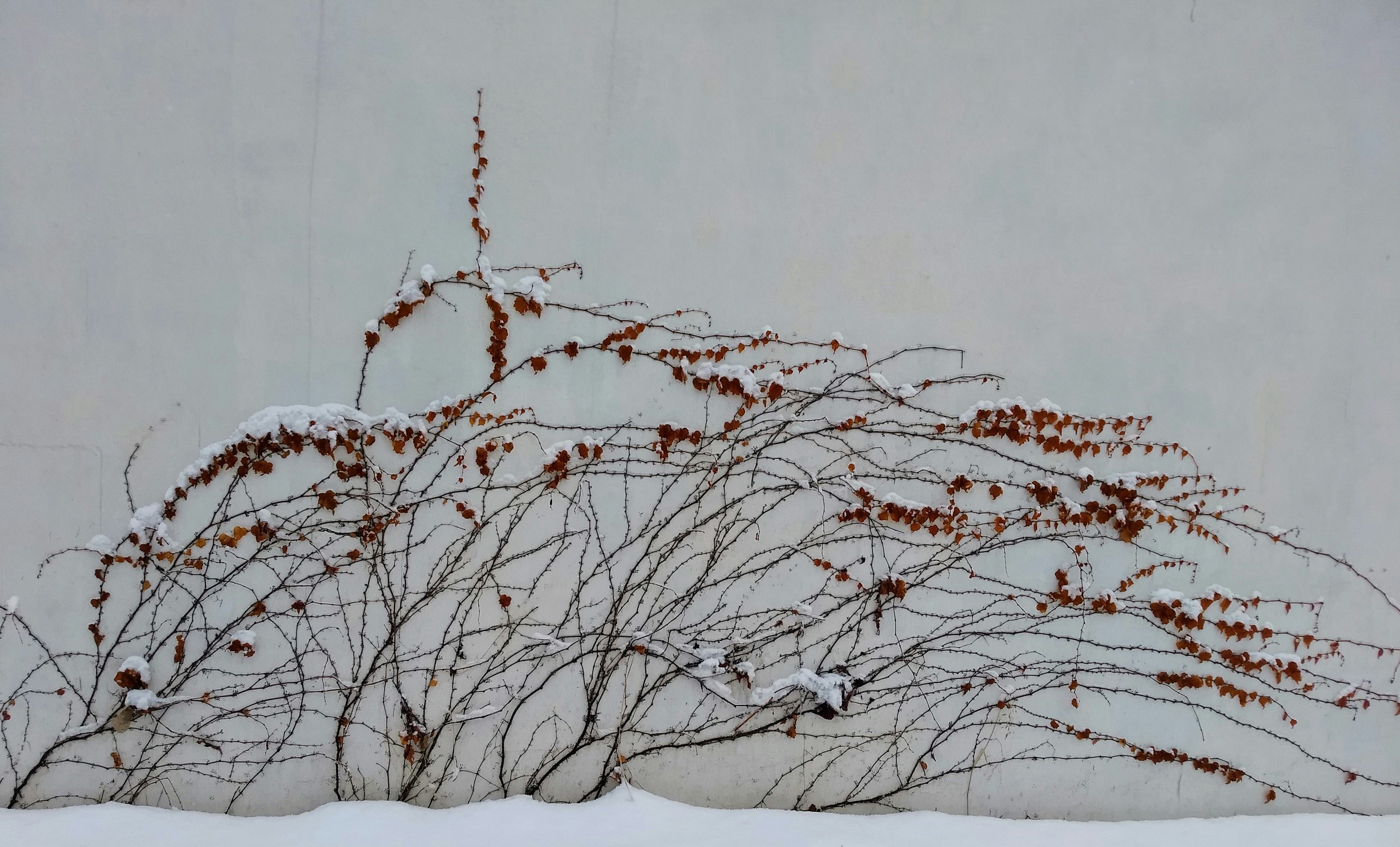 Photo by wondroustrange