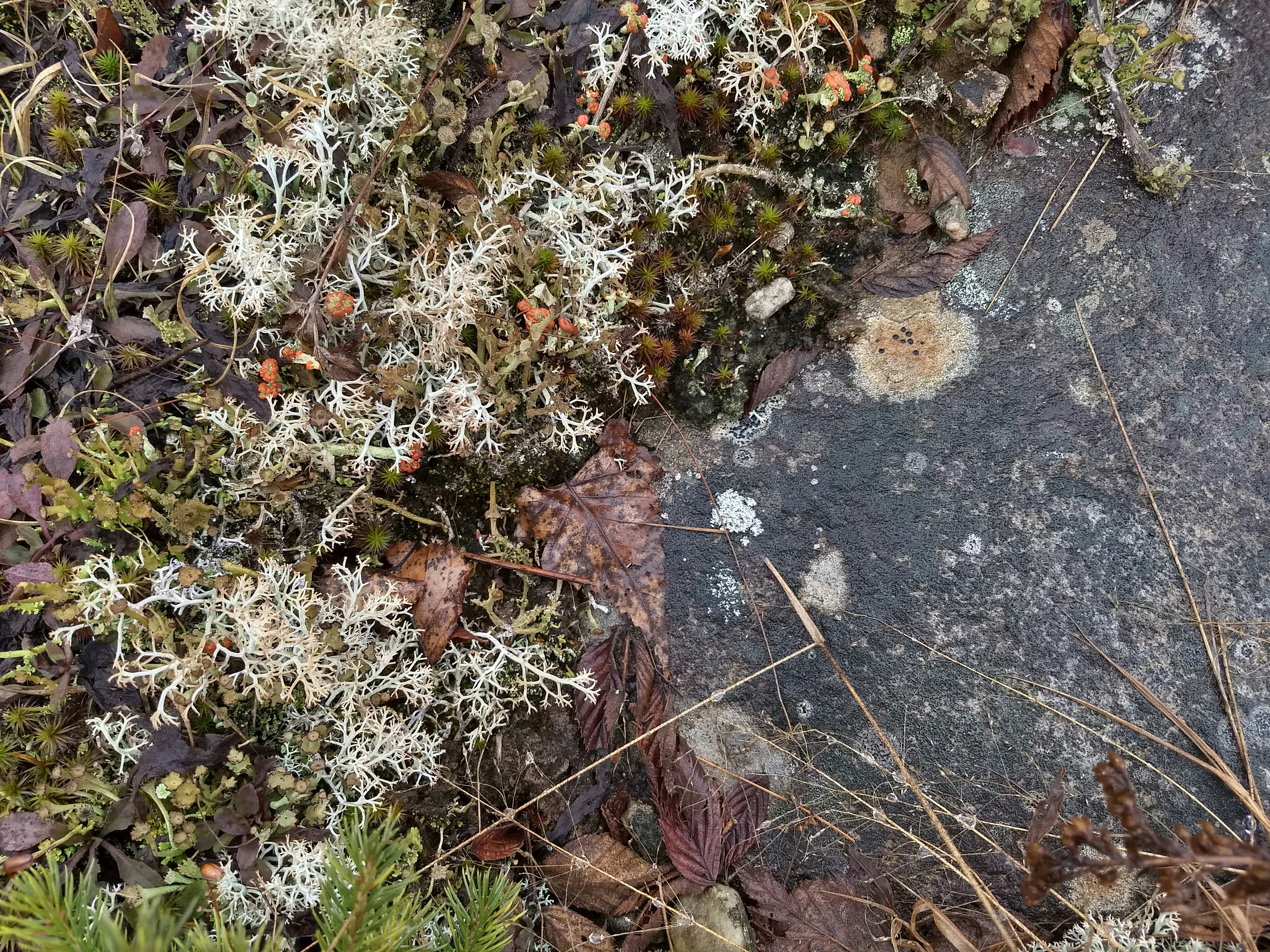 Photo by wondroustrange