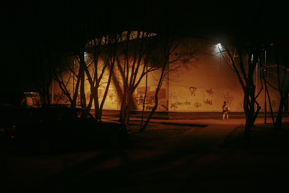 a person walking in a park at night