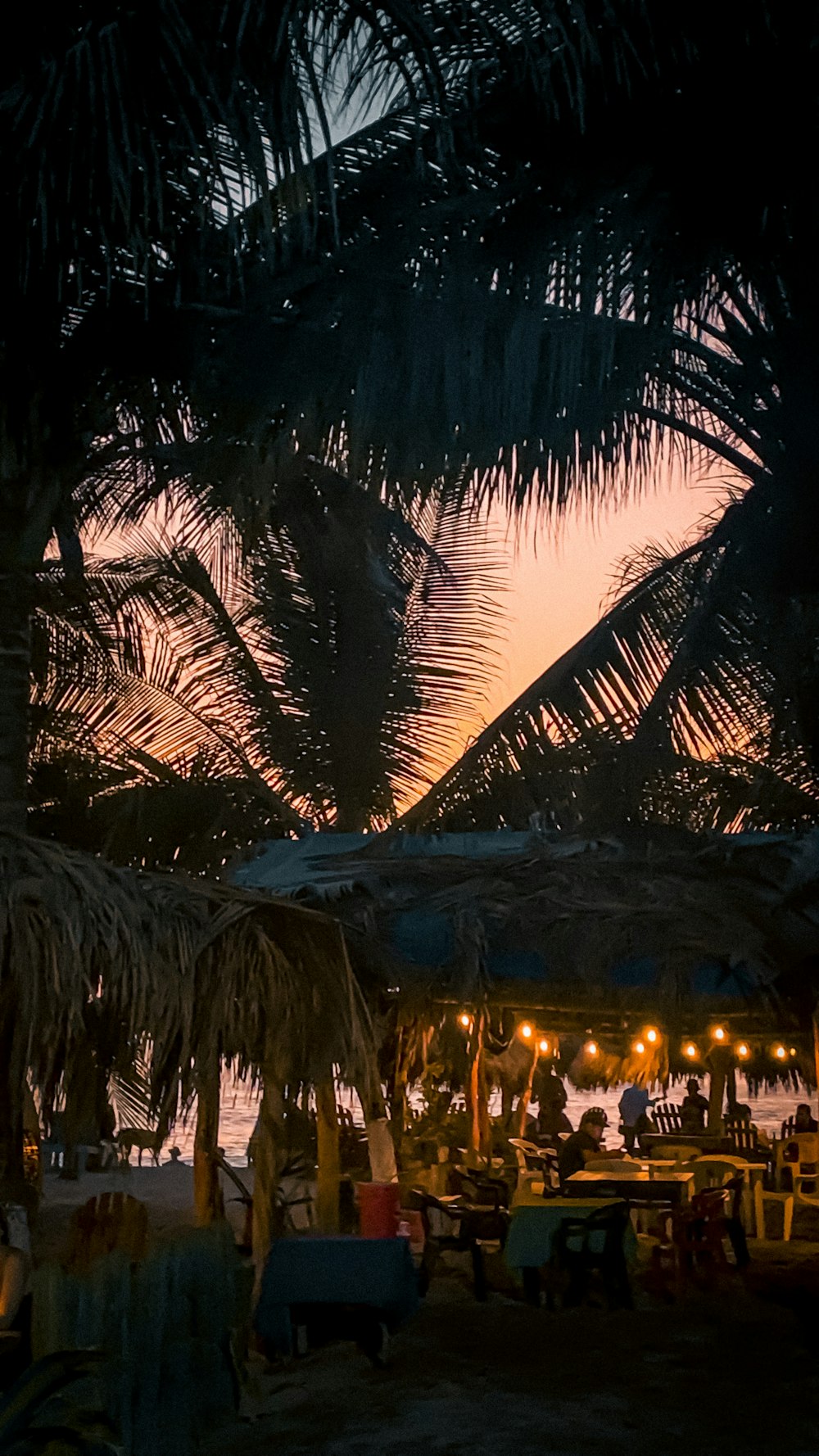 a group of people sitting under a tree at night