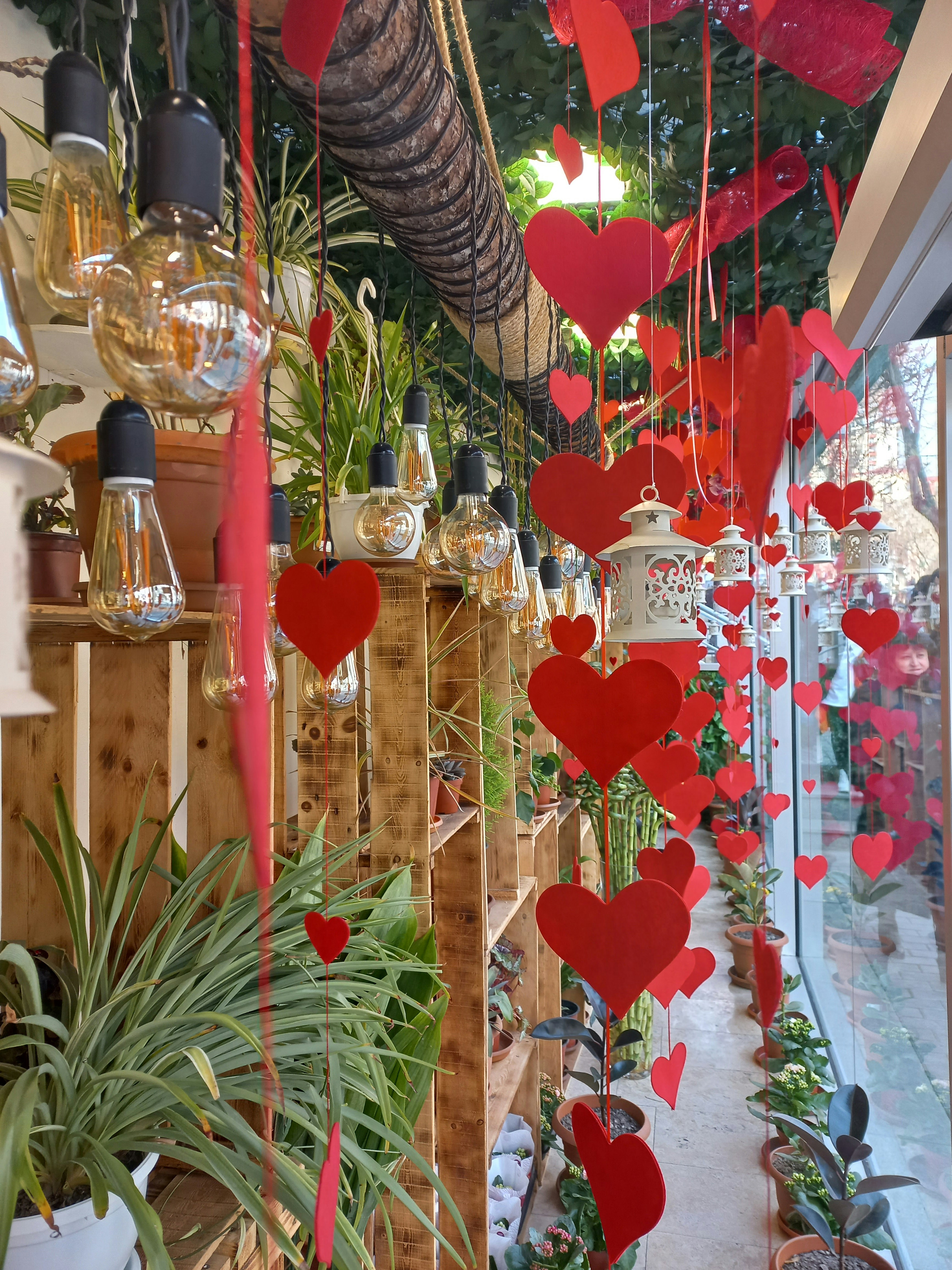 Fresh Floral Arrangements Online 3