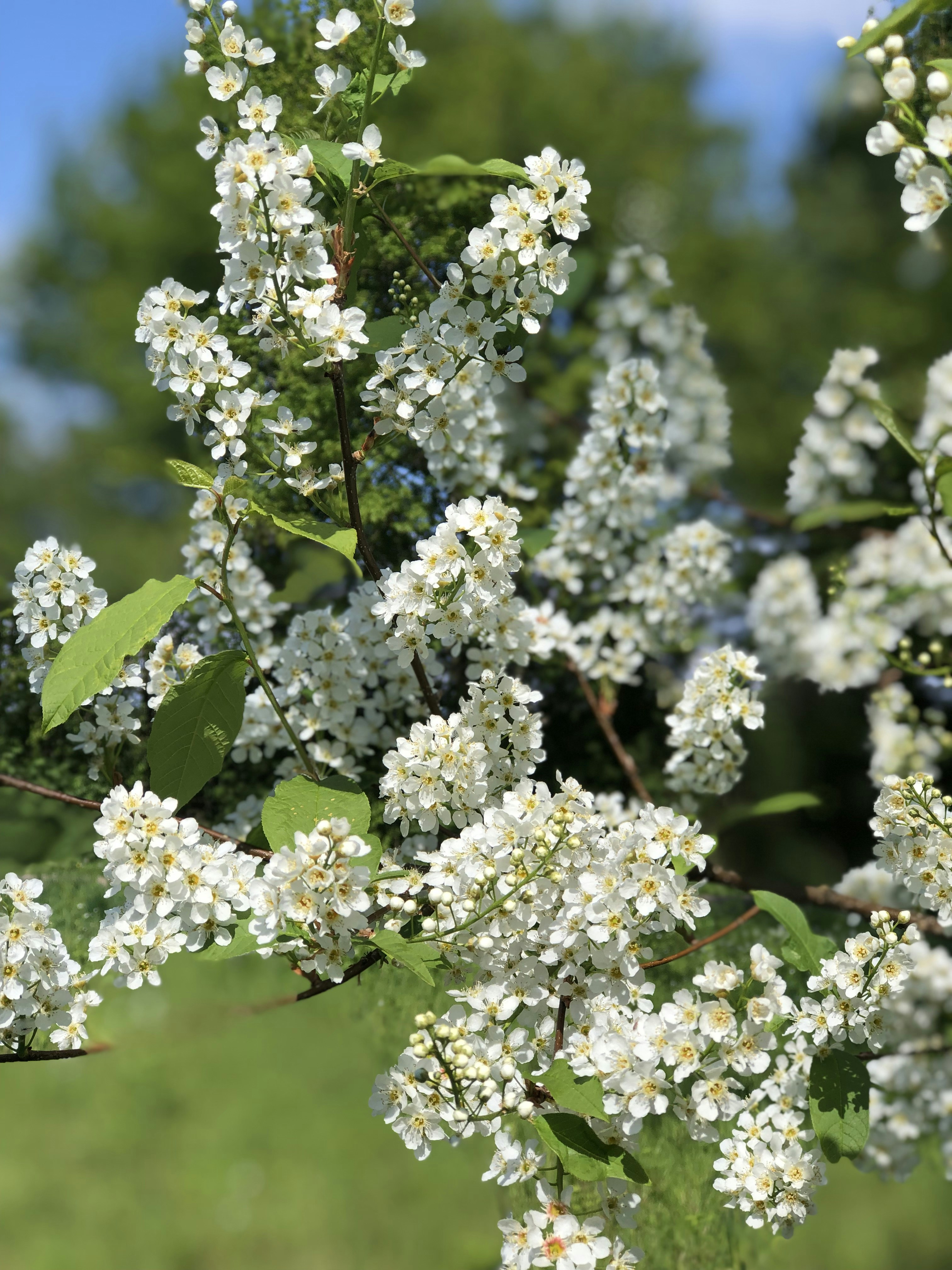 Photo by morgenster1967