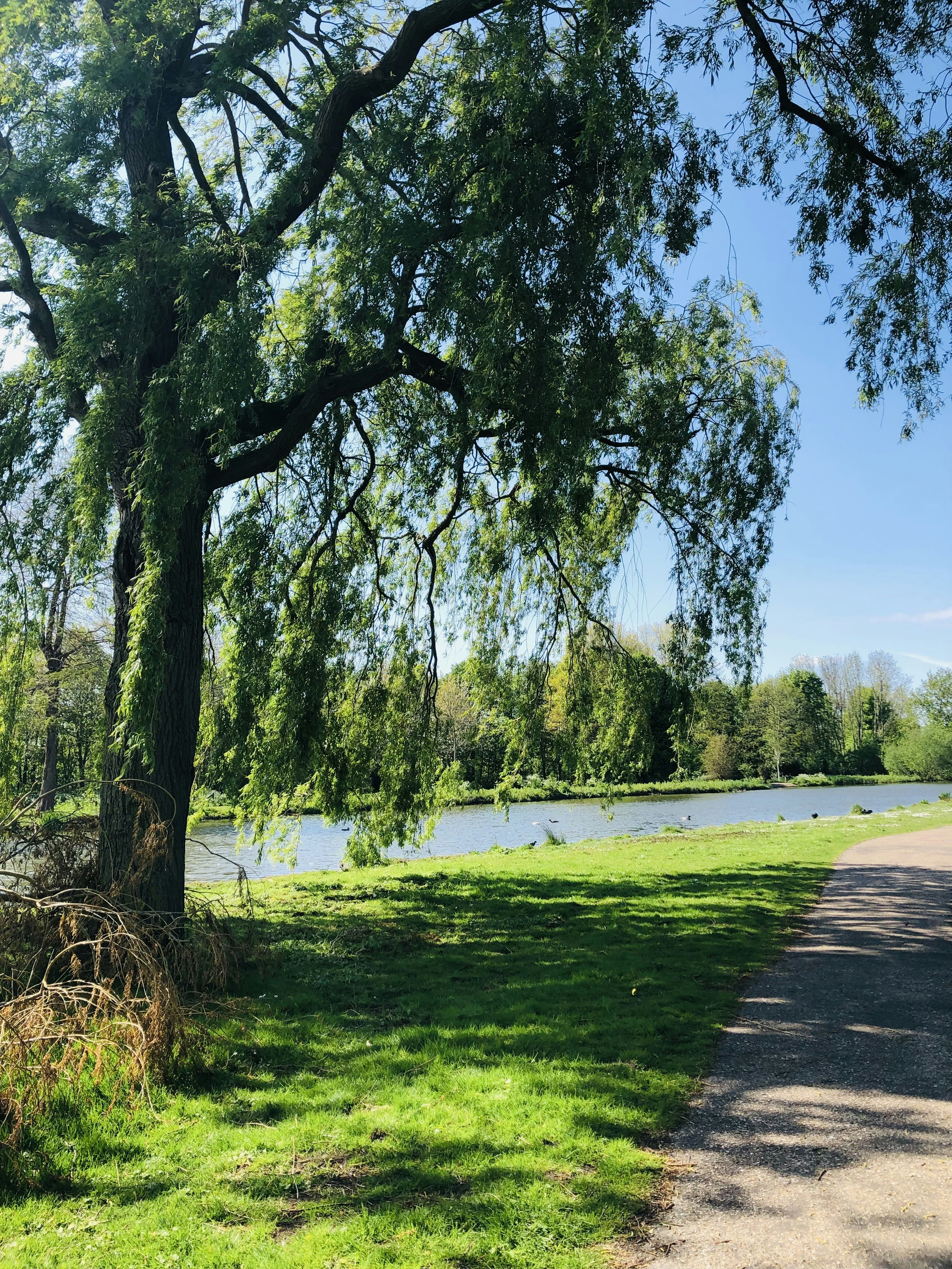 Photo by morgenster1967