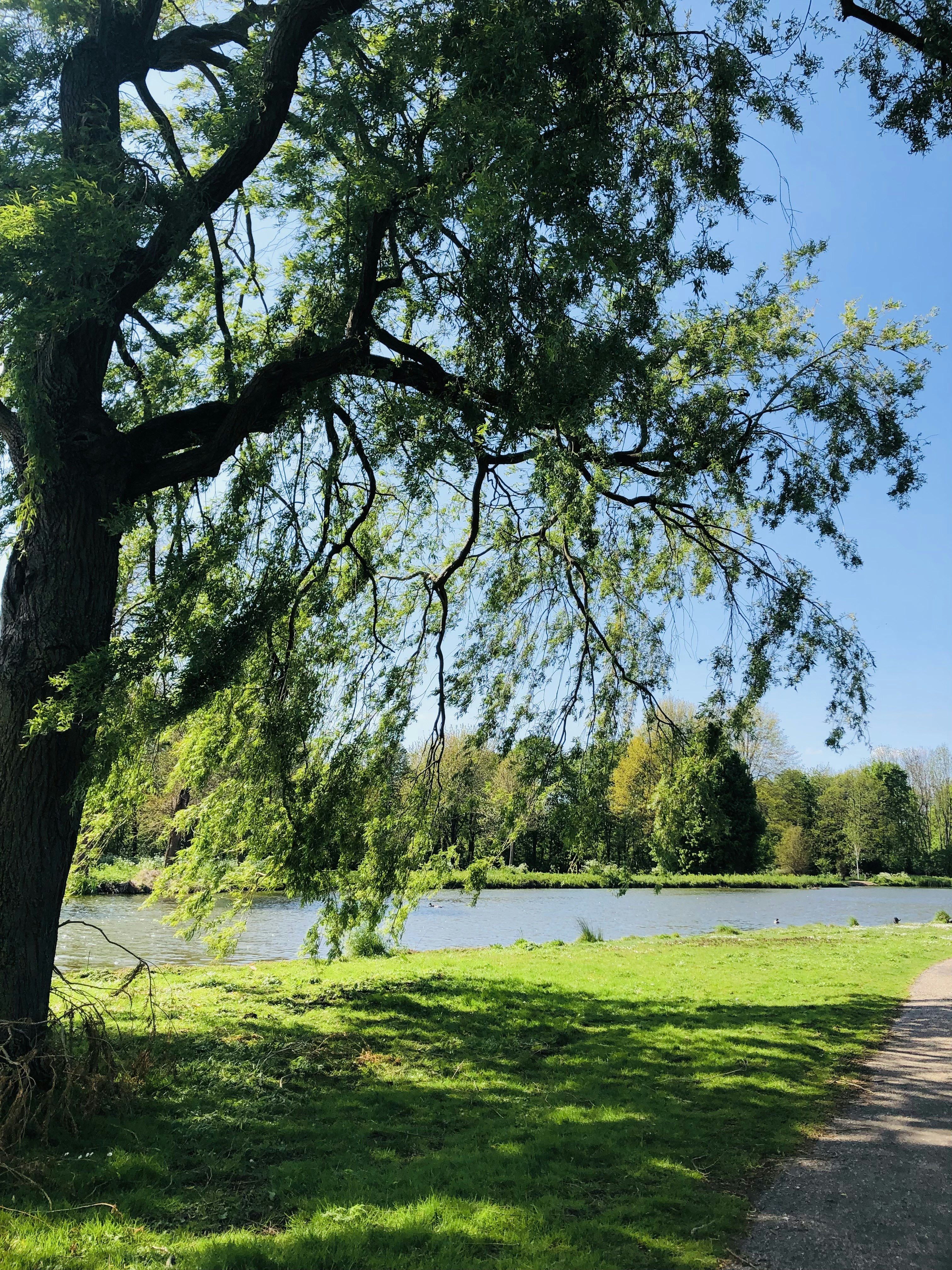 Photo by morgenster1967