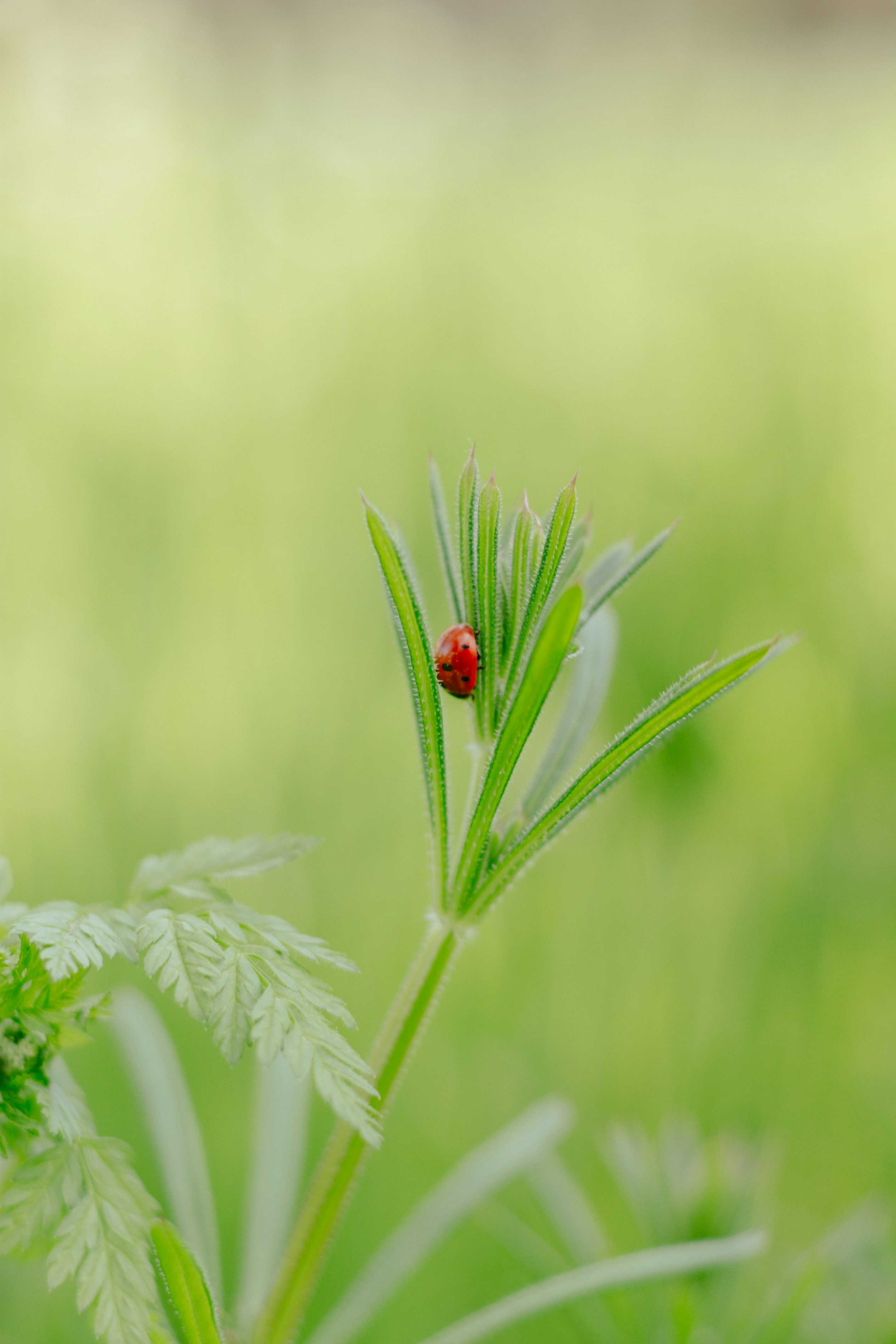 Photo by annaleksandrovishna