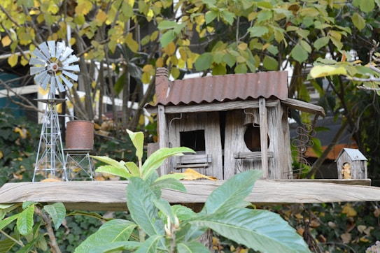 A miniature rustic scene featuring a small wooden cabin with a corrugated metal roof, surrounded by greenery. To the left, there's a tiny windmill structure and a rusted water tank elevating the rural aesthetic. The background is filled with various plants and foliage.