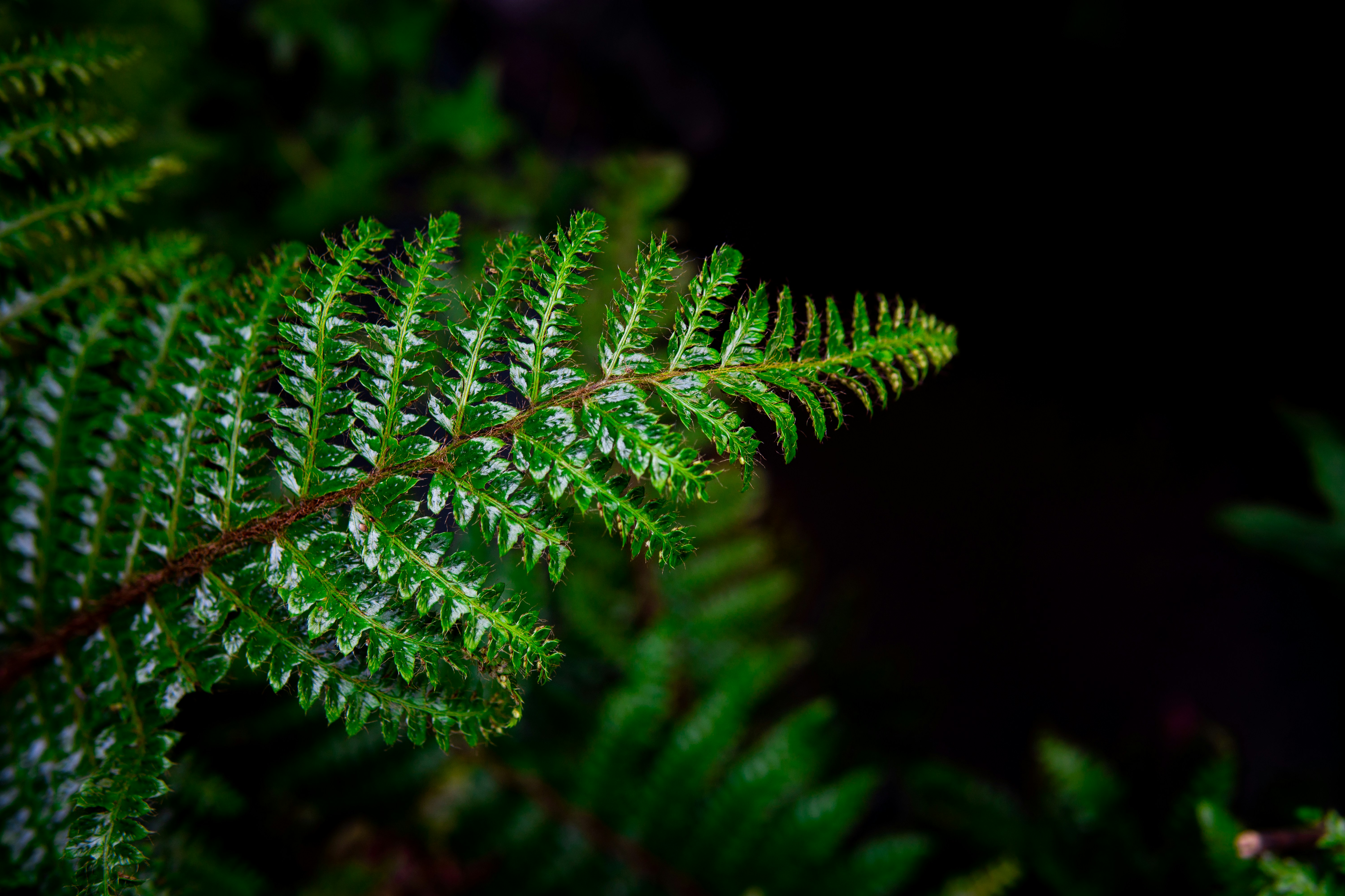 Photo by barthelemy_r