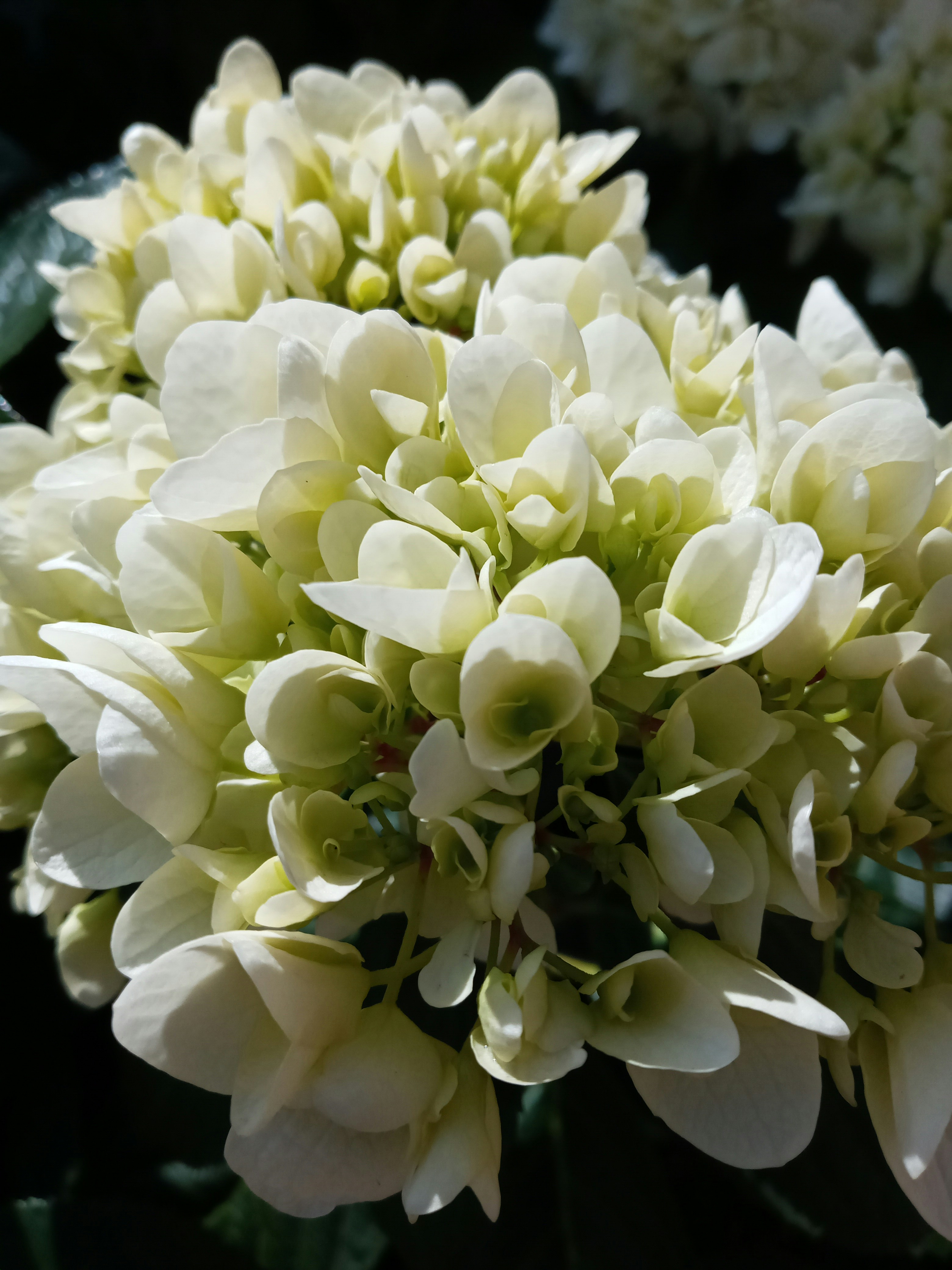 Photo by sethu_ntiyantiya