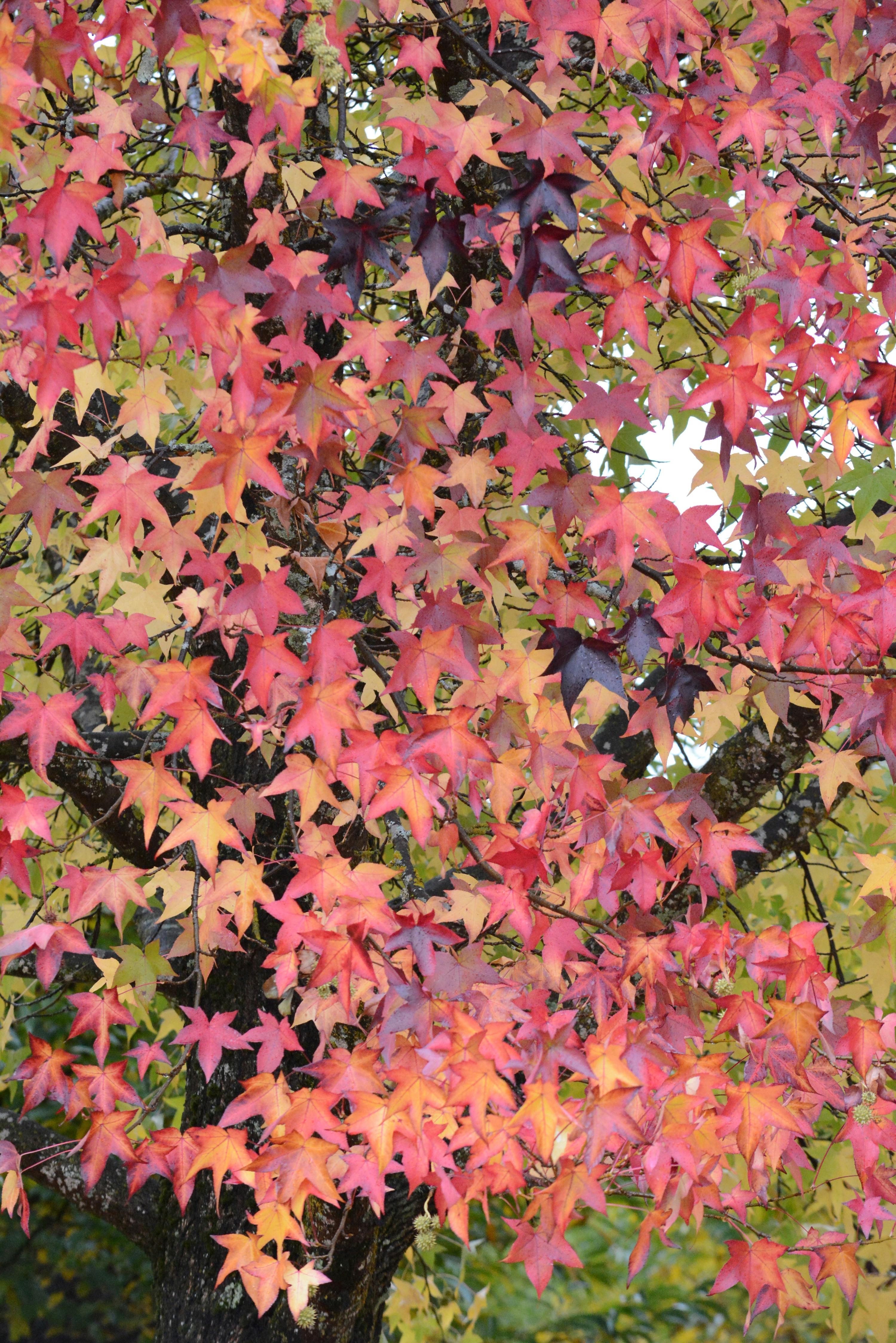 Photo by richard7seals