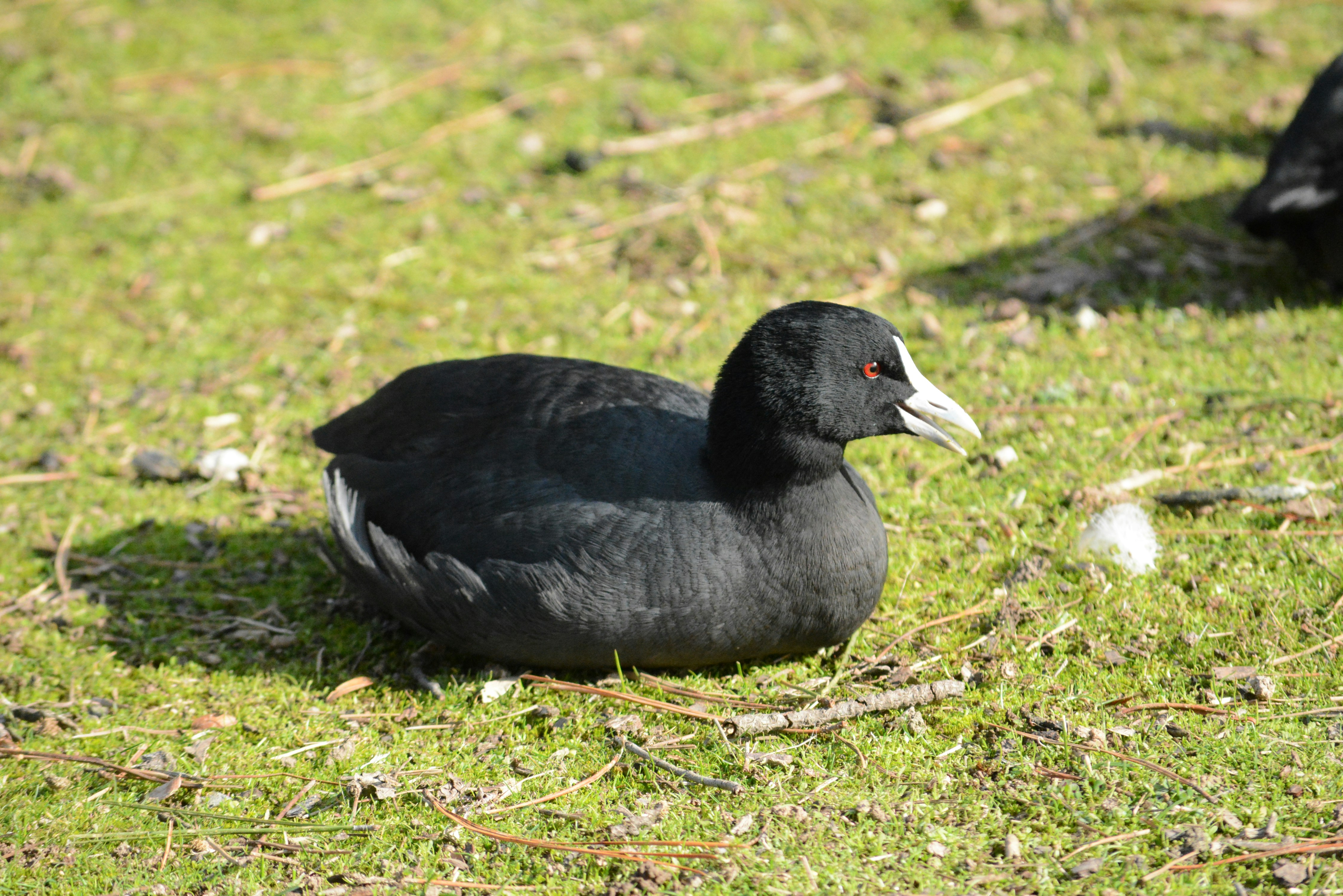 Photo by richard7seals